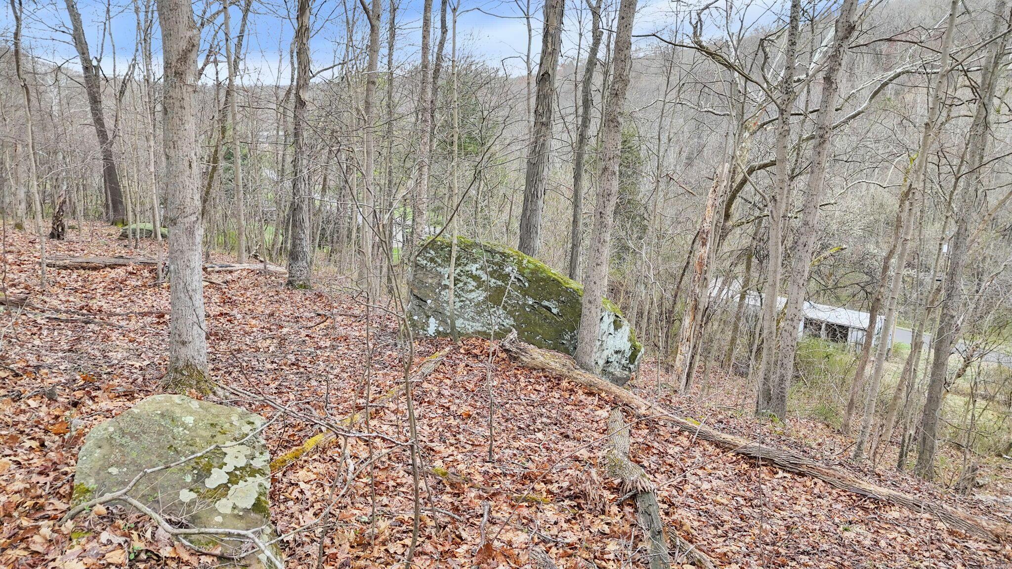 32290 Bailey Run Road Property Photo 35