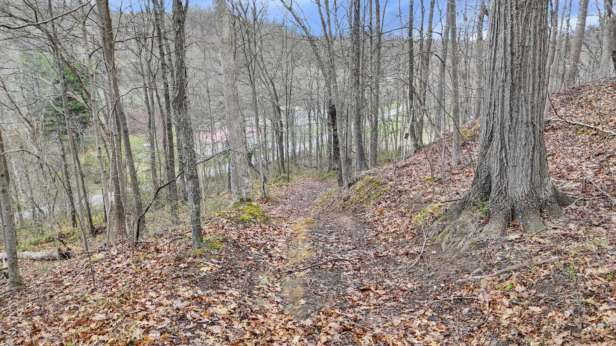 32290 Bailey Run Road Property Photo 36