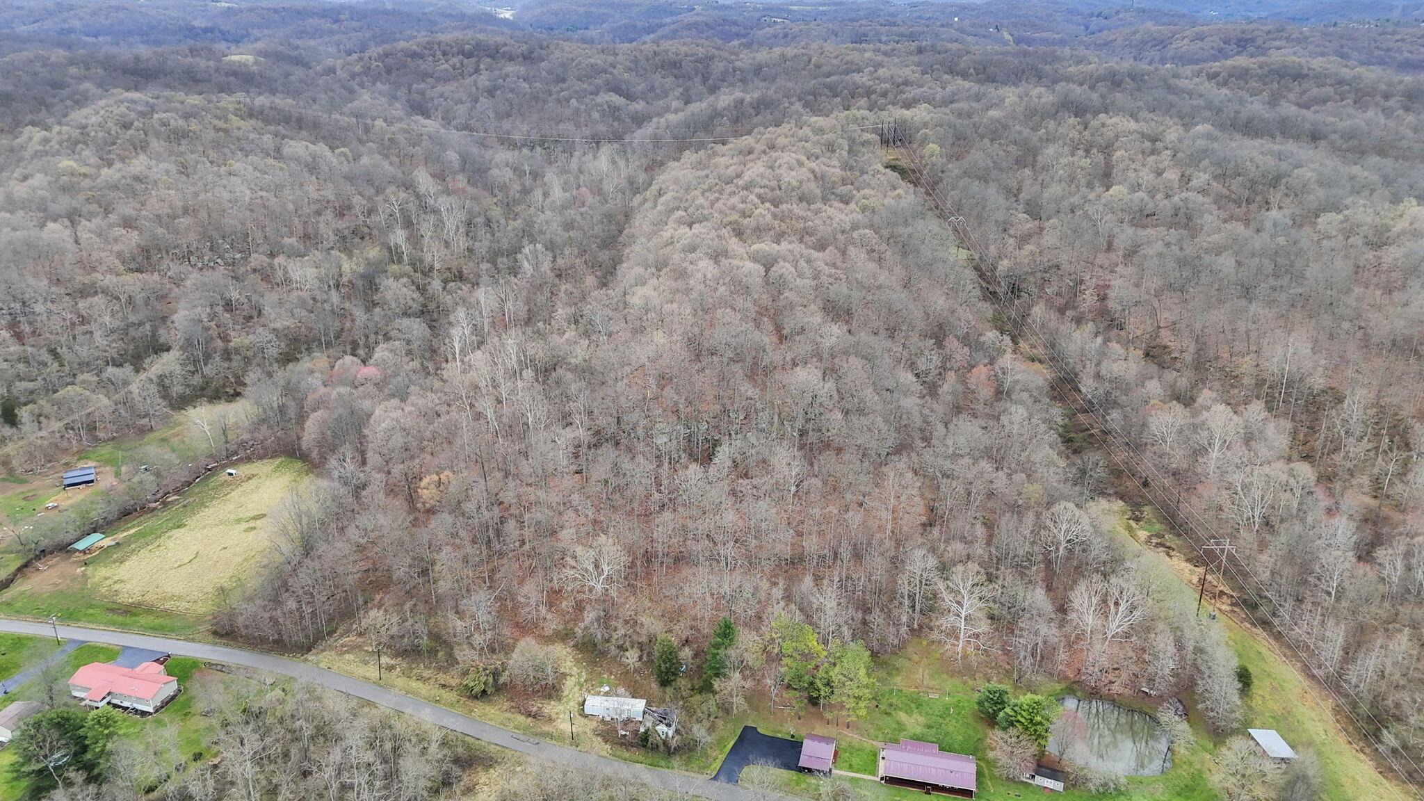 32290 Bailey Run Road Property Photo 39