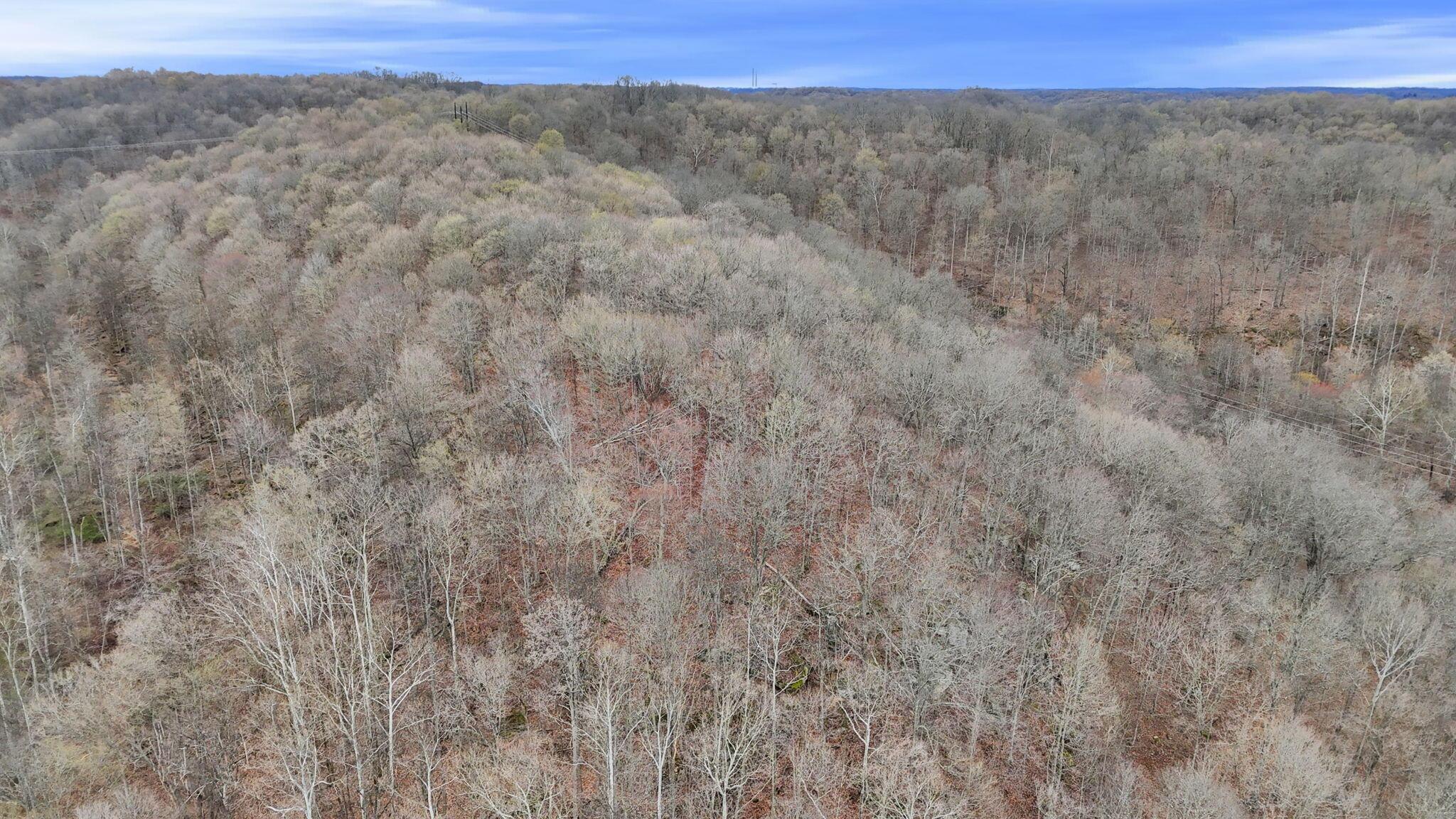 32290 Bailey Run Road Property Photo 52