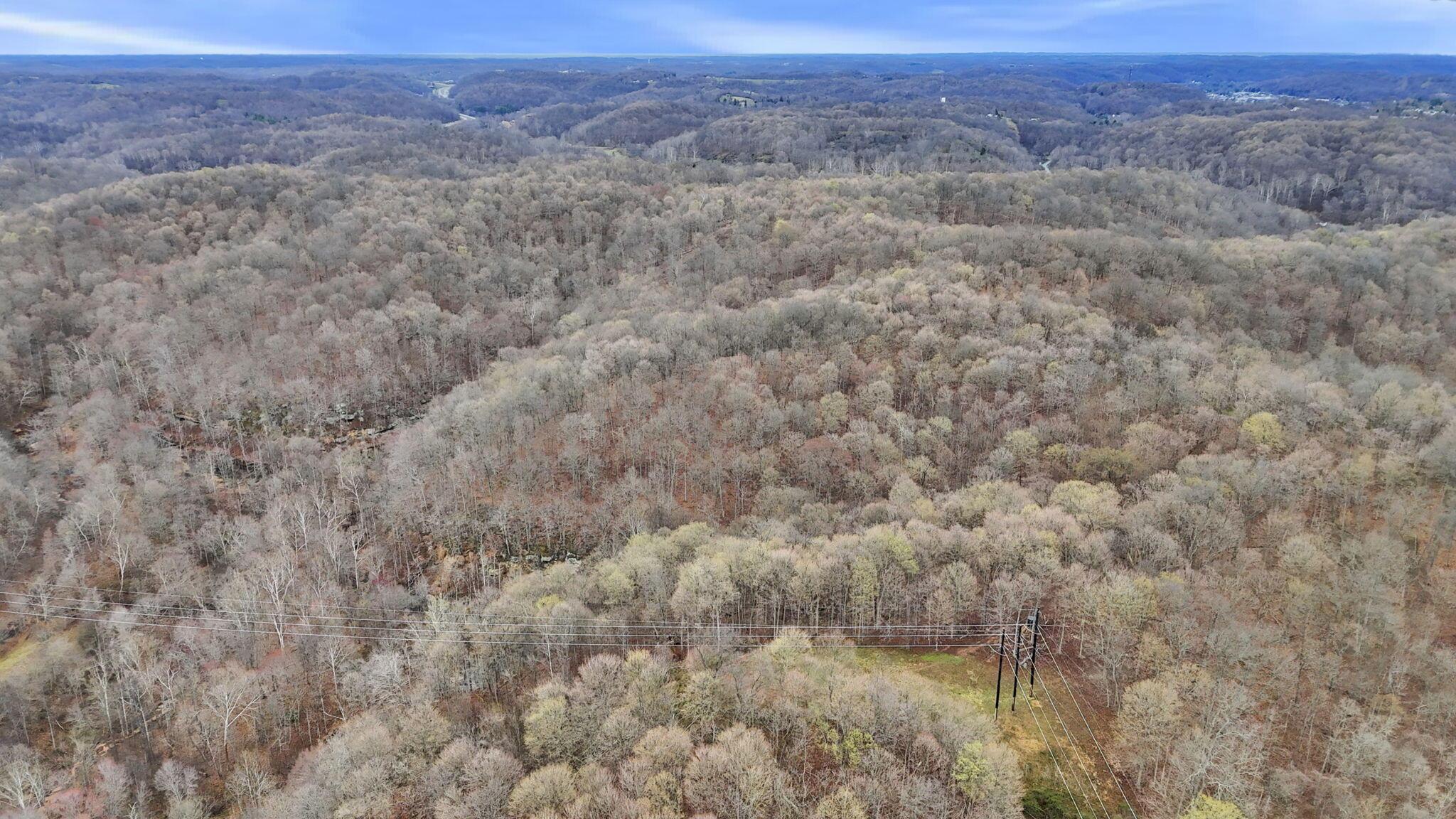 32290 Bailey Run Road Property Photo 53