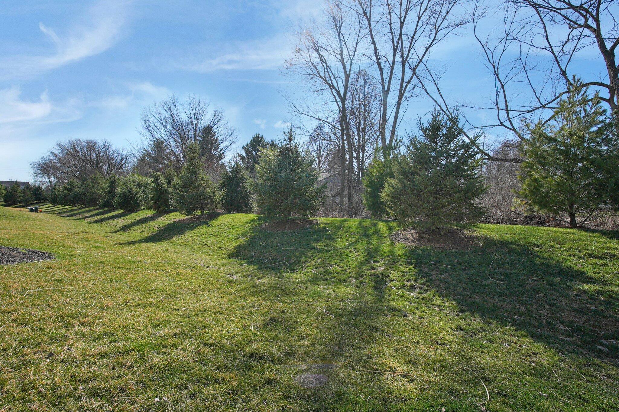 4595 Winding Oak Drive Property Photo 38