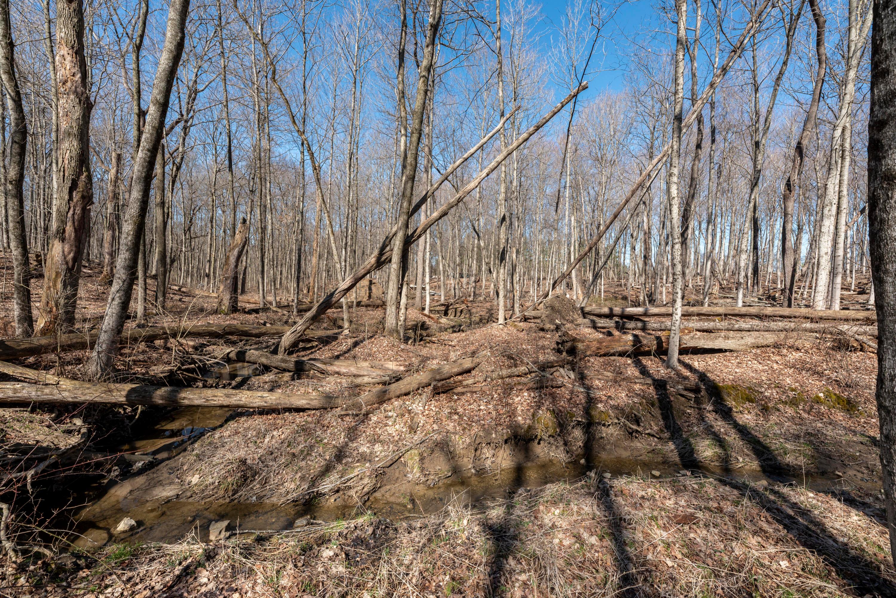 0 State Rte 521 Property Photo 6