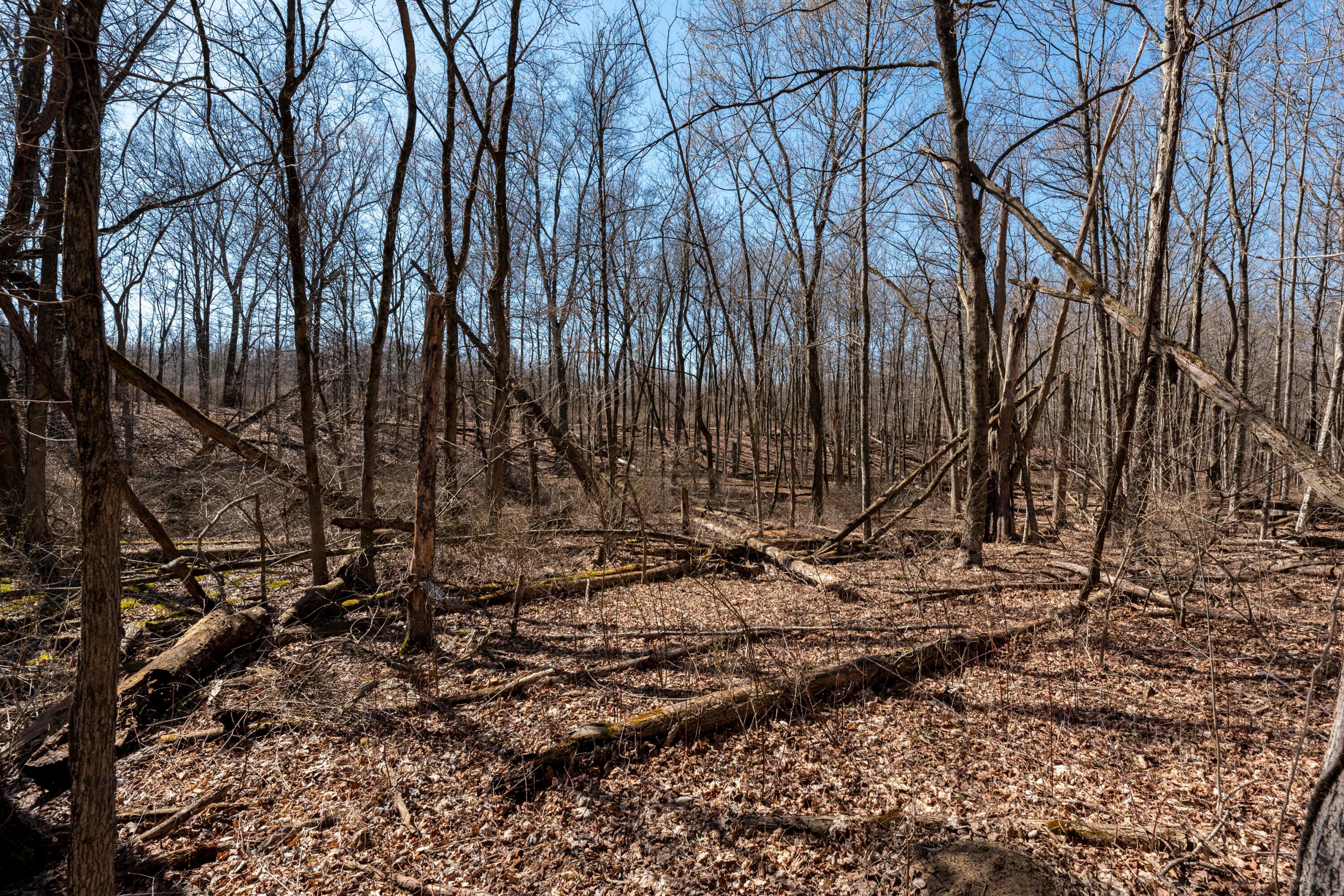 0 State Rte 521 Property Photo 9