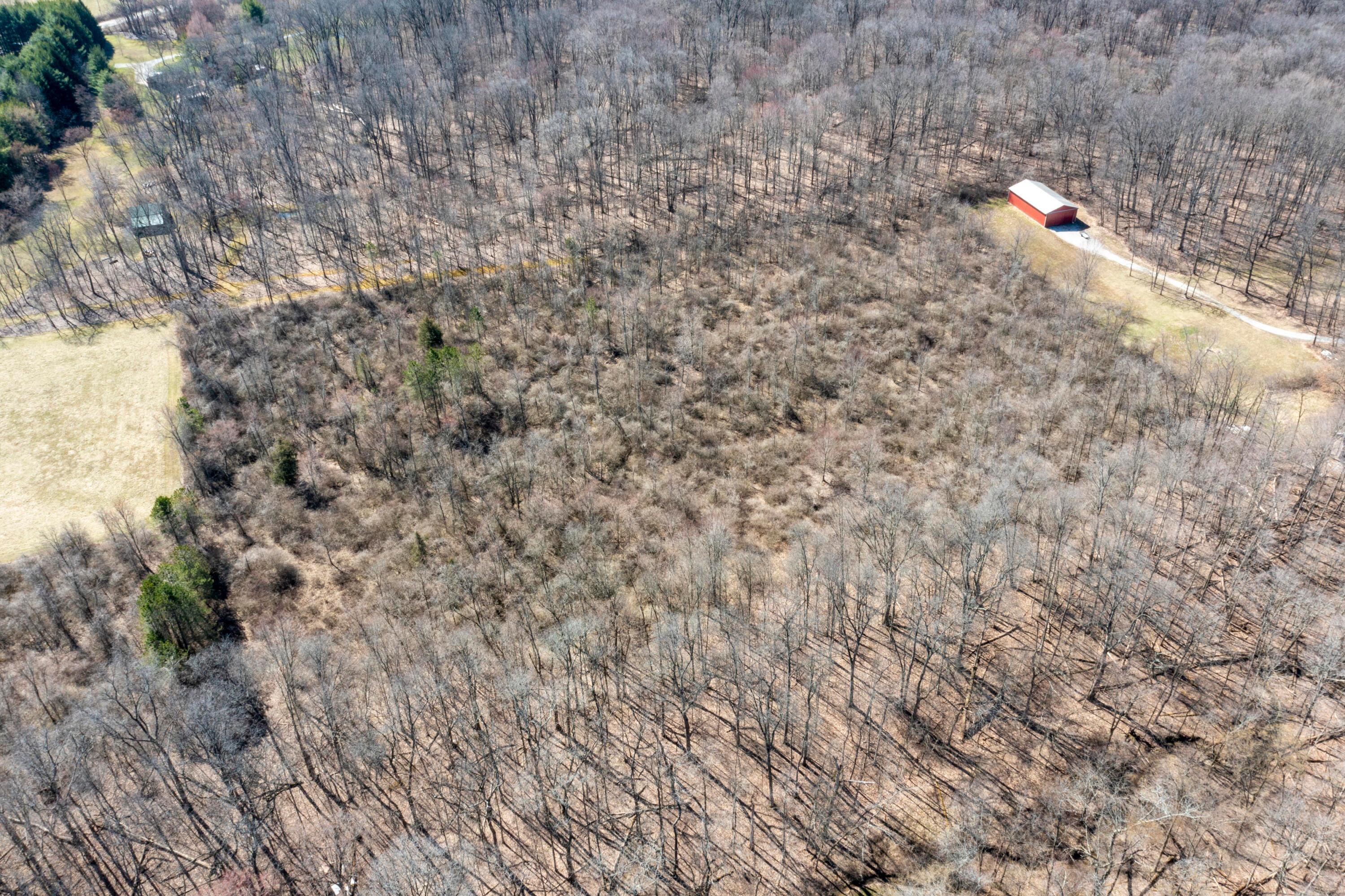 0 State Rte 521 Property Photo 12