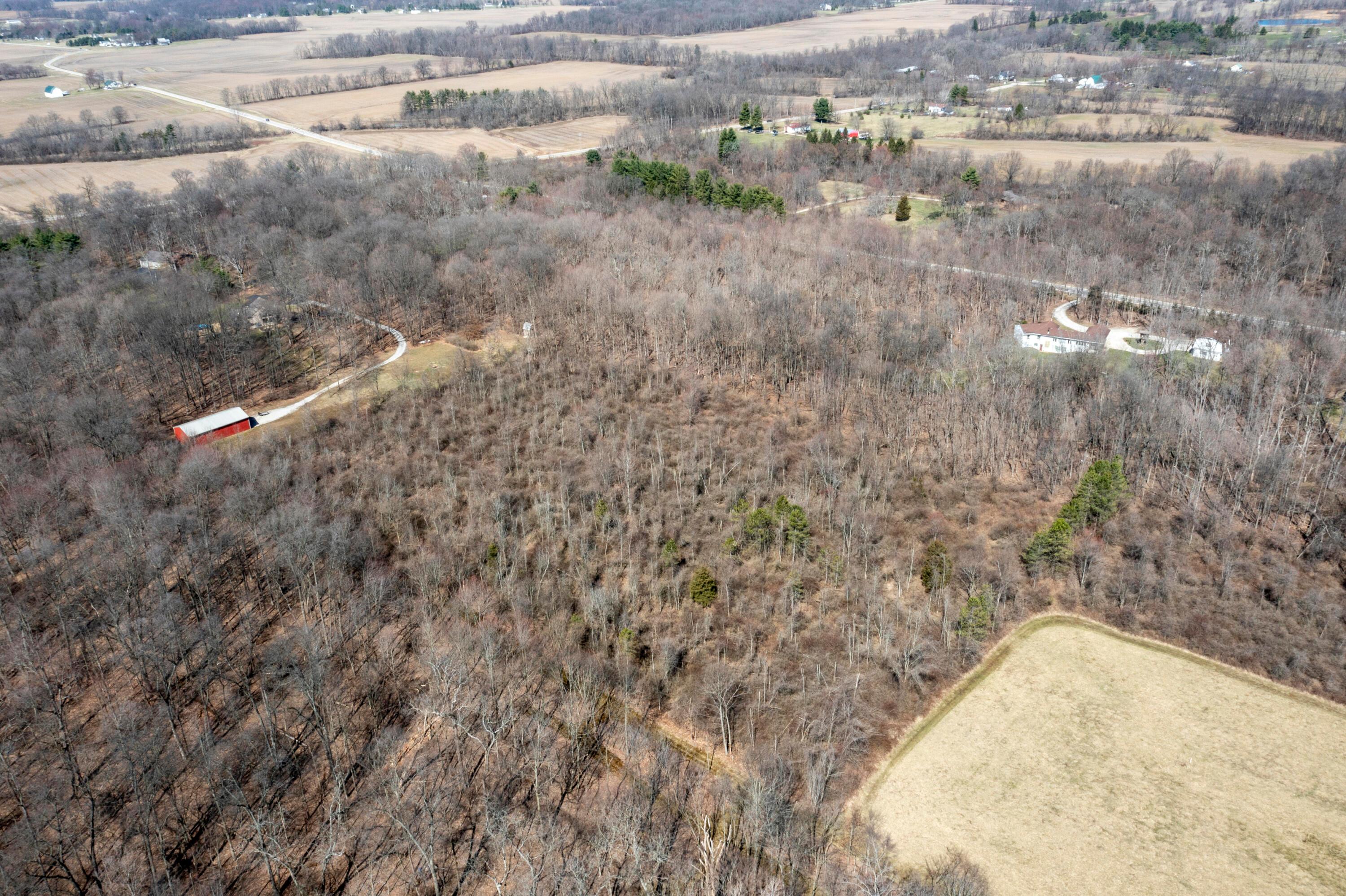 0 State Rte 521 Property Photo 13