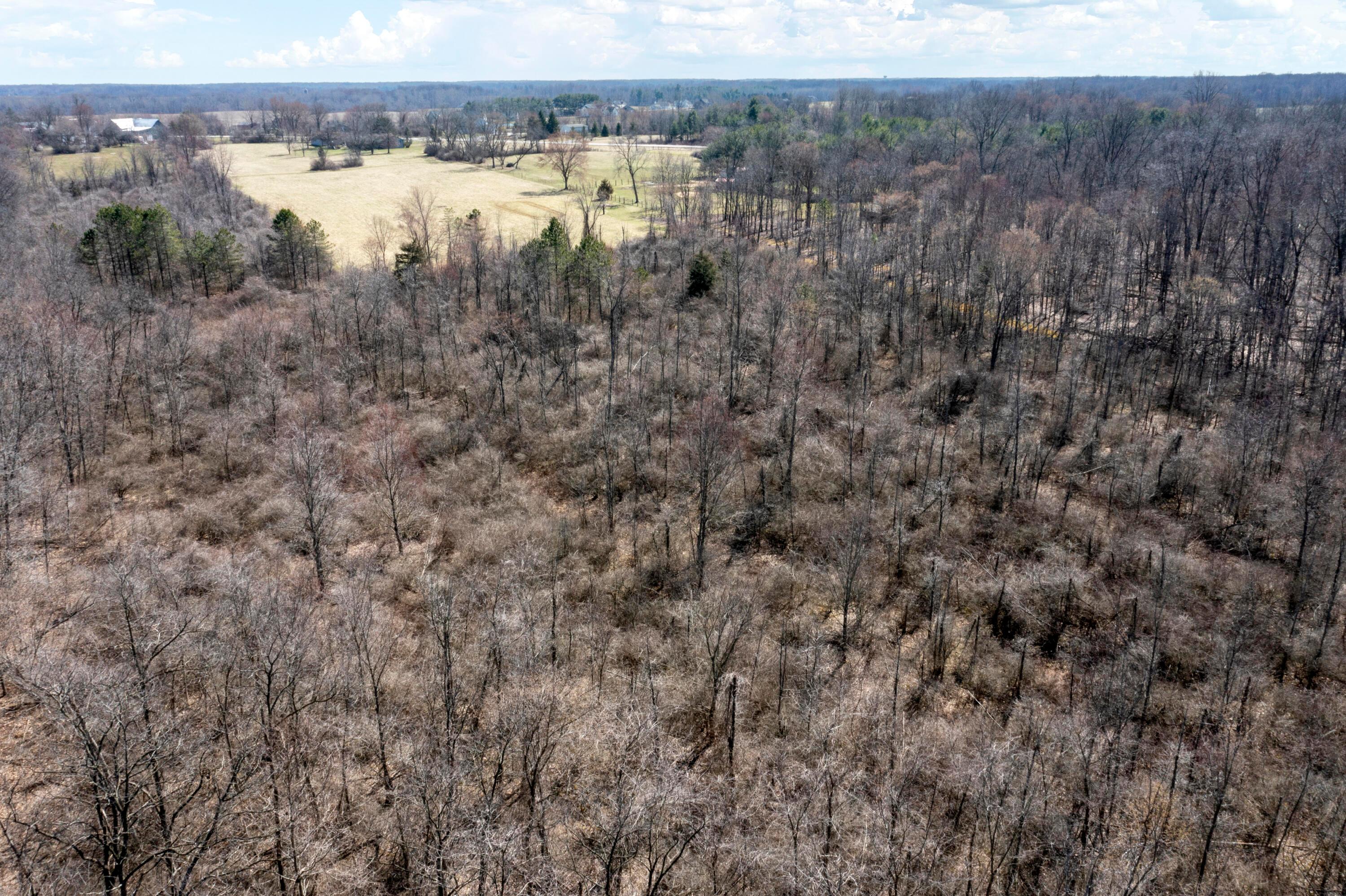 0 State Rte 521 Property Photo 16