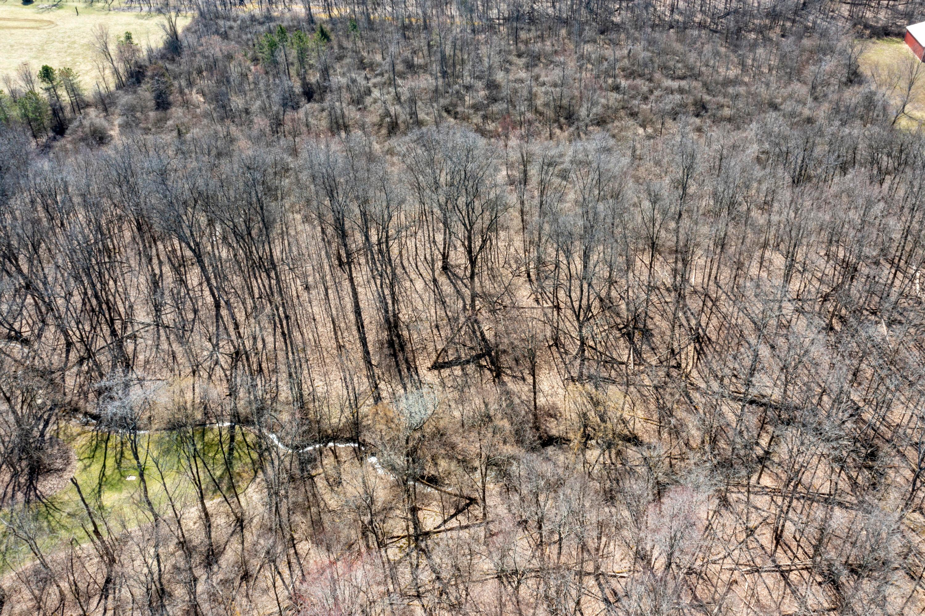 0 State Rte 521 Property Photo 17