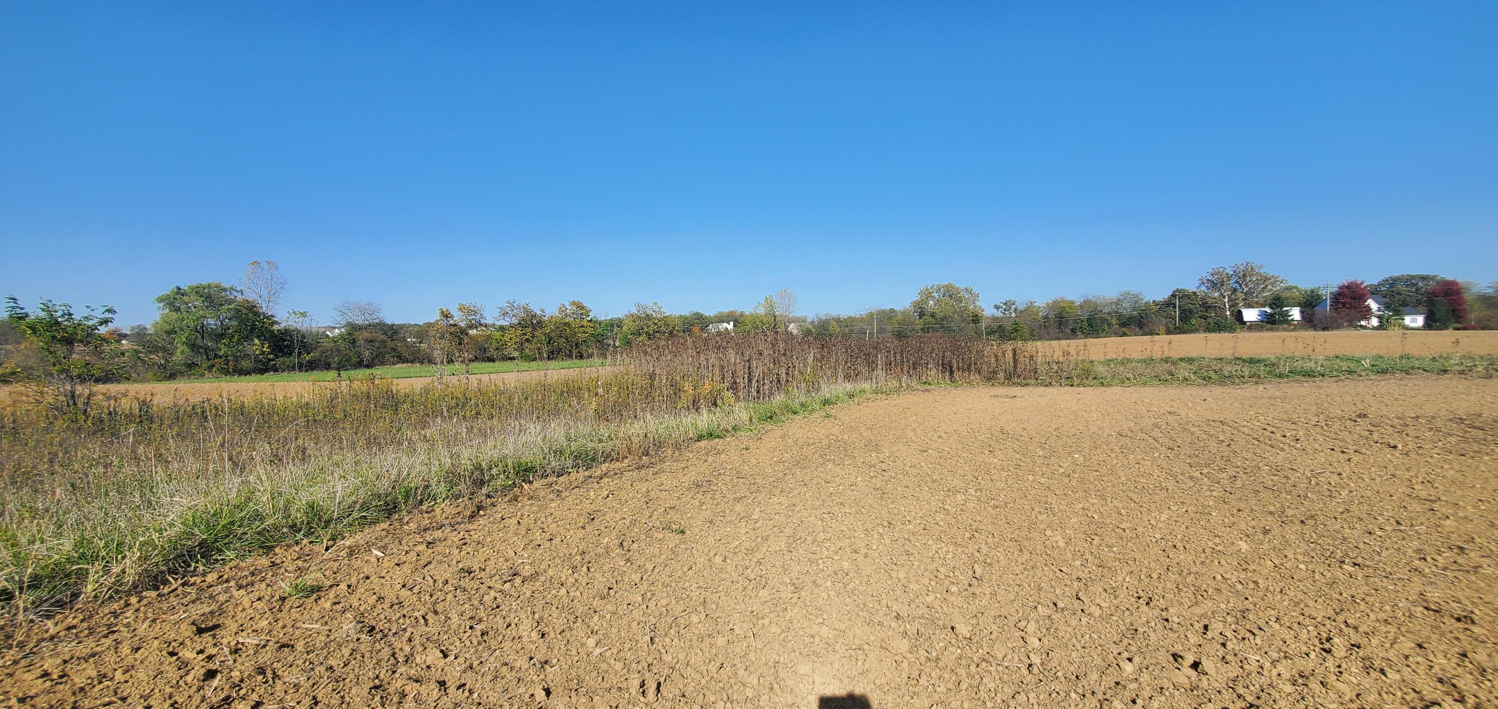 9513 State Route 736 Property Photo 3