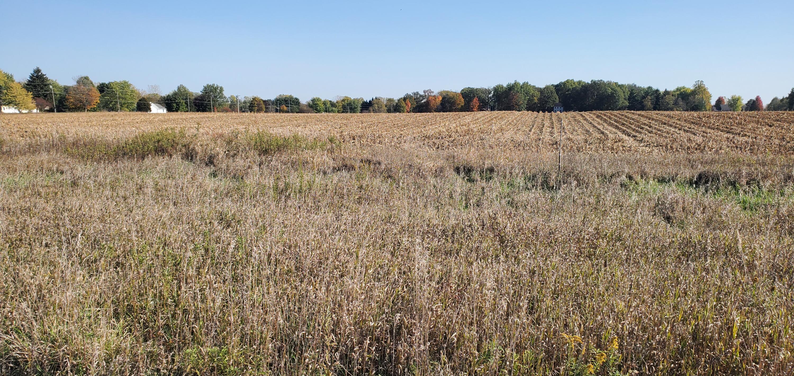 9513 State Route 736 Property Photo 4