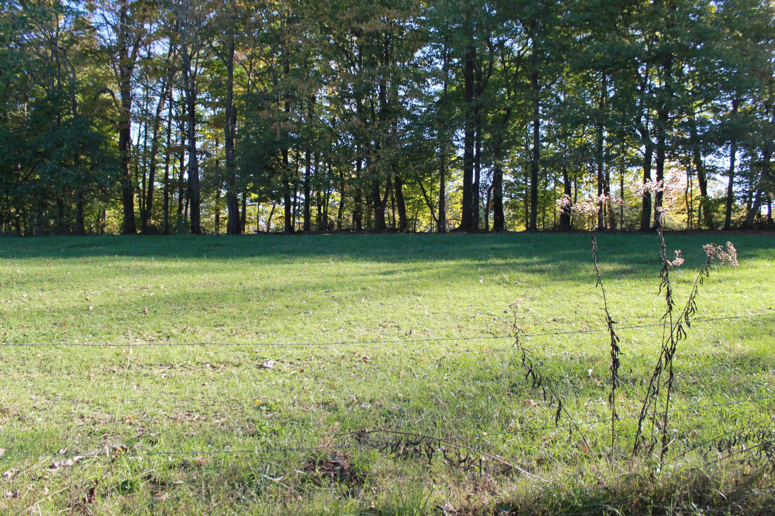 10705 Township Road 92 Nw Property Photo 5