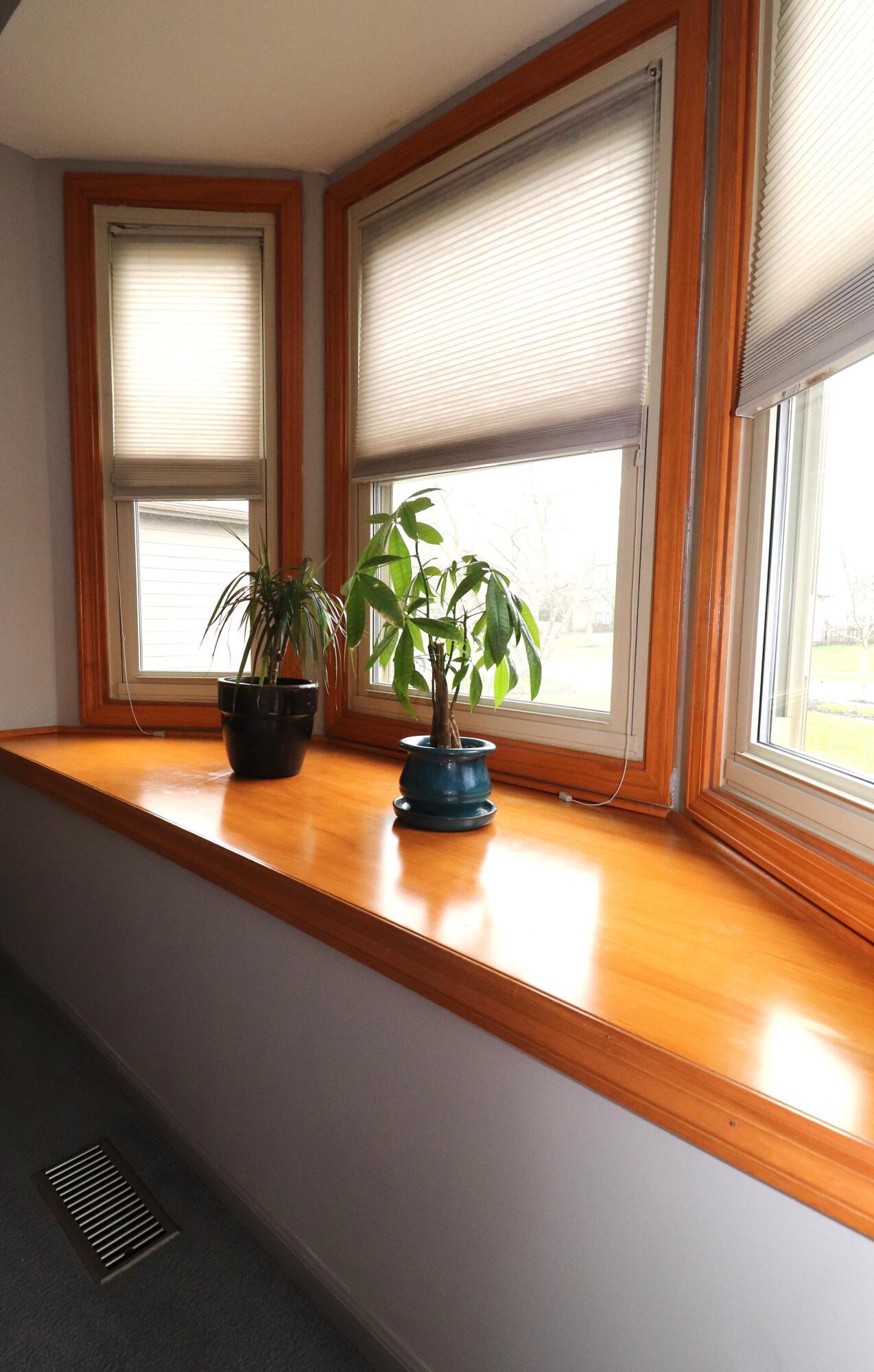3476 Mark Twain Drive Property Photo 43