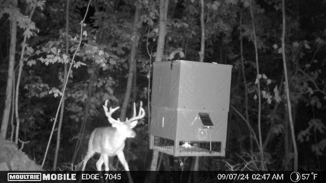 3852 Nauvoo Pond Creek Road Property Photo 28