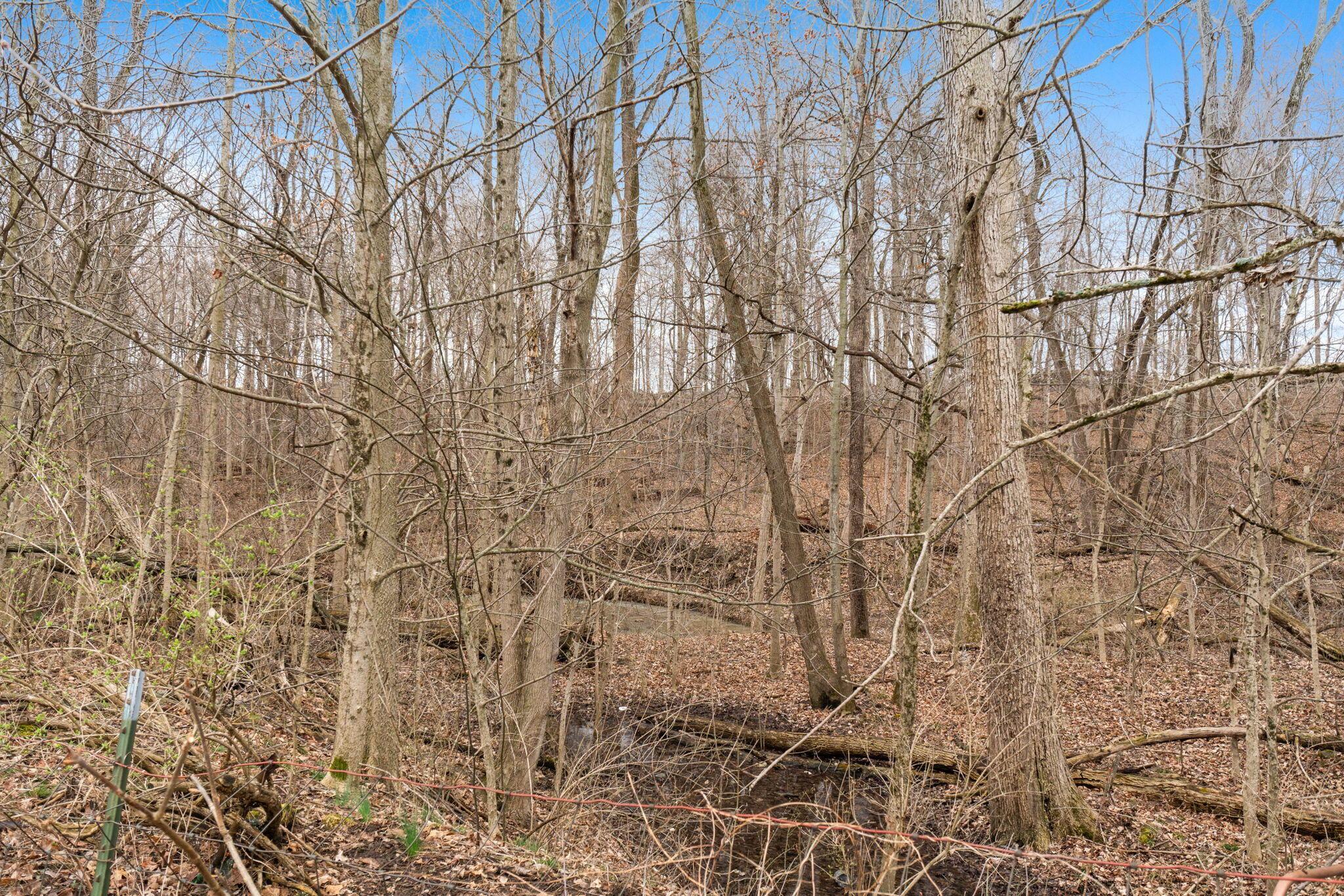 4979 Old Troy Pike Property Photo 31