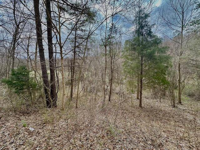 0 Deer Creek Road Property Photo 3