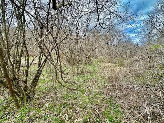 0 Deer Creek Road Property Photo 7