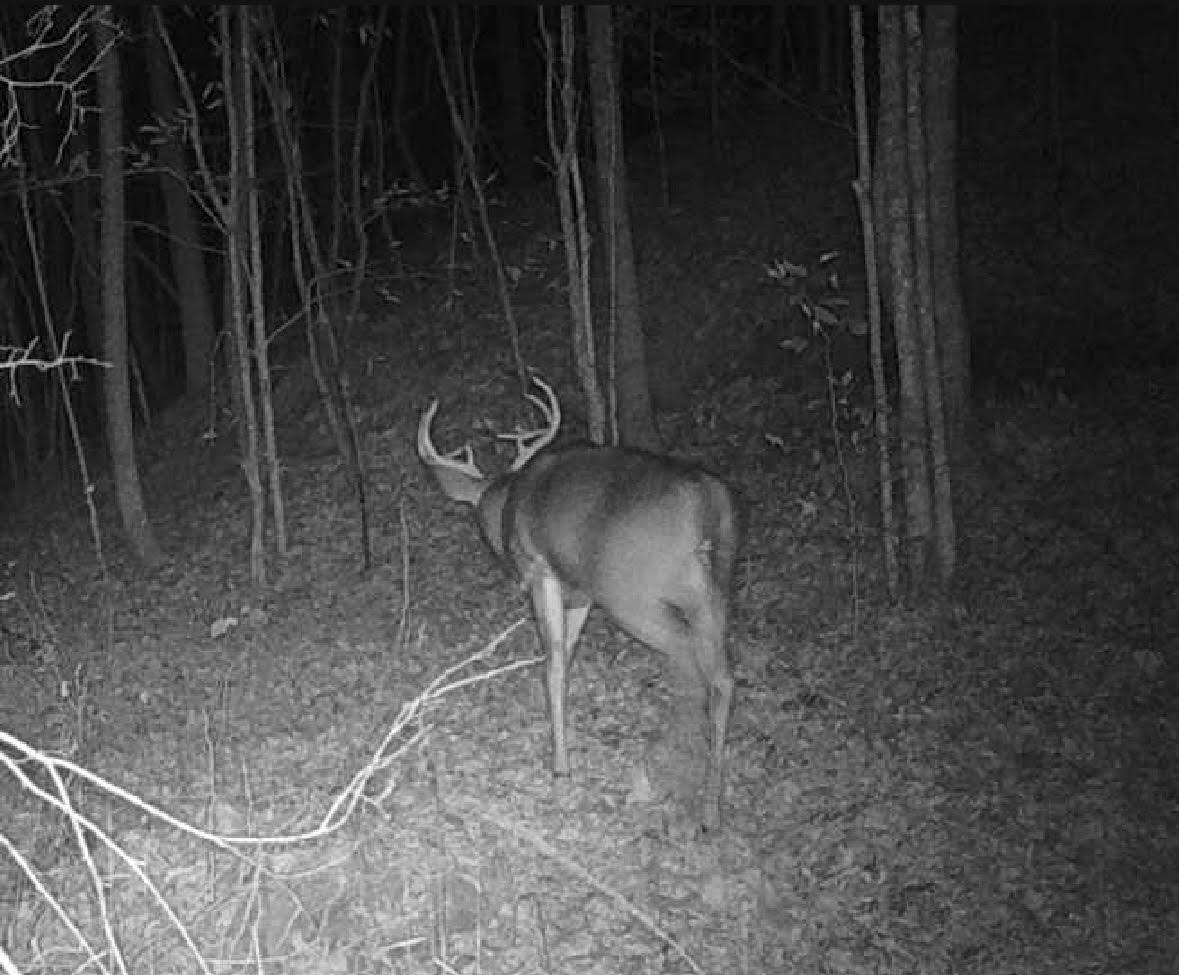 0 Deer Creek Road Property Photo 9