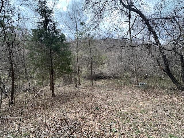 0 Deer Creek Road Property Photo 10