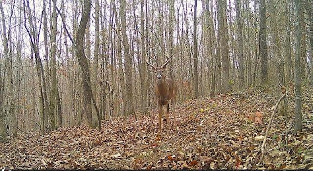 0 Deer Creek Road Property Photo 15