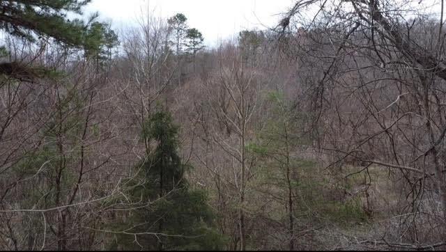 0 Deer Creek Road Property Photo 17