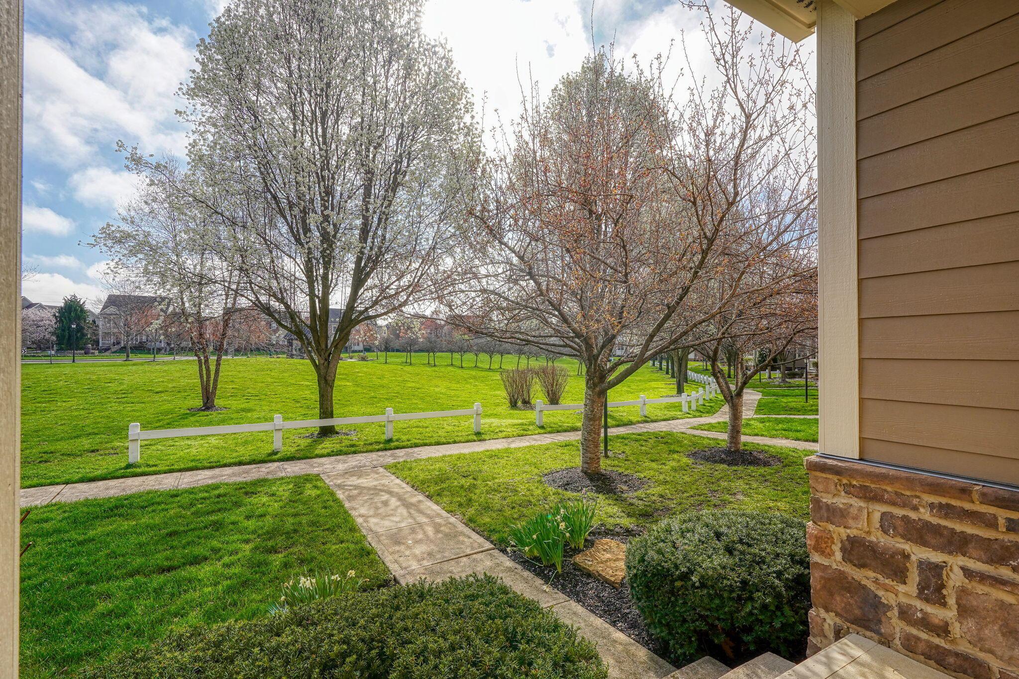 4227 Tuller Ridge Drive Property Photo 40