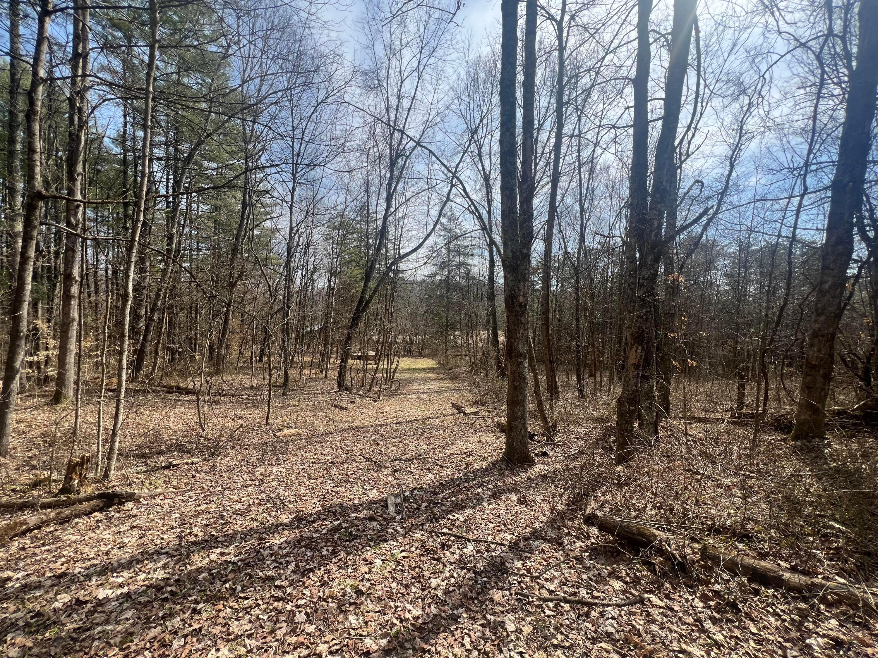 0 Fairview Road Property Photo