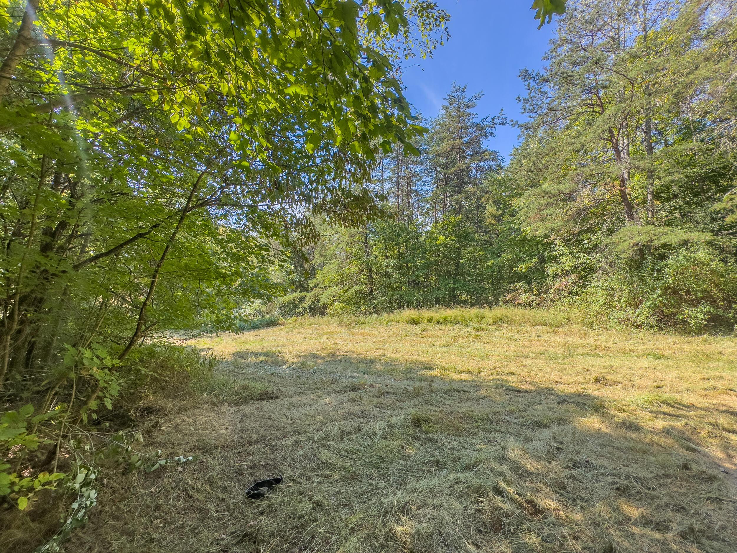 0 Fairview Road Property Photo 9