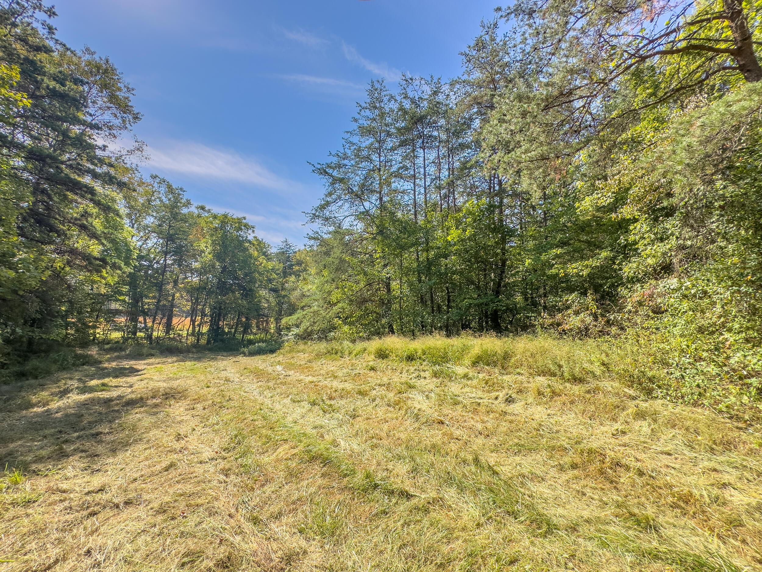 0 Fairview Road Property Photo 11