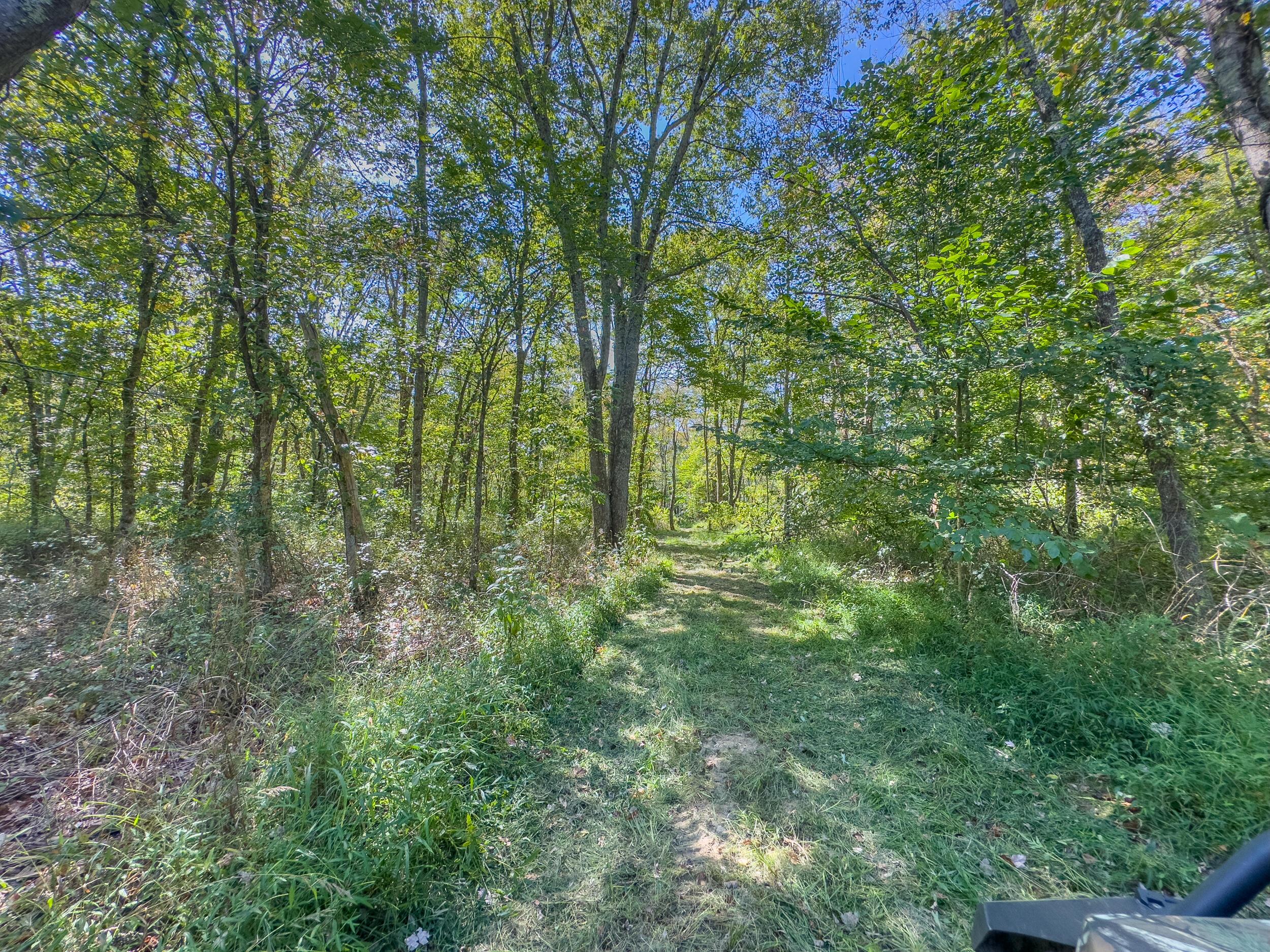 0 Fairview Road Property Photo 17