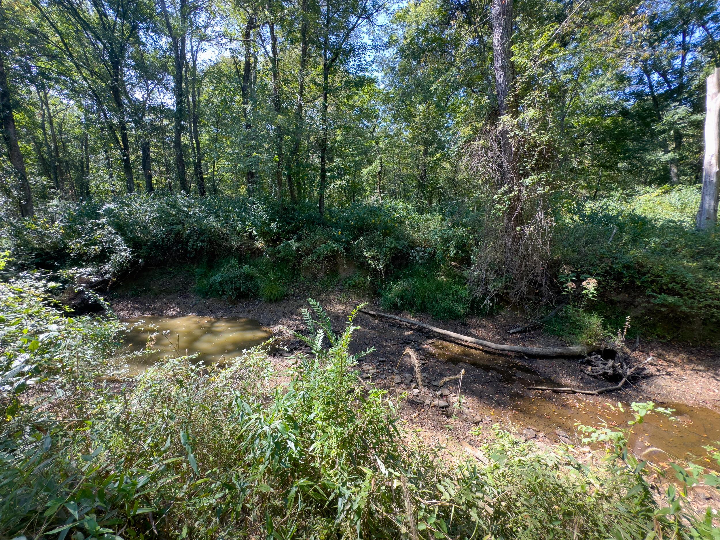 0 Fairview Road Property Photo 20