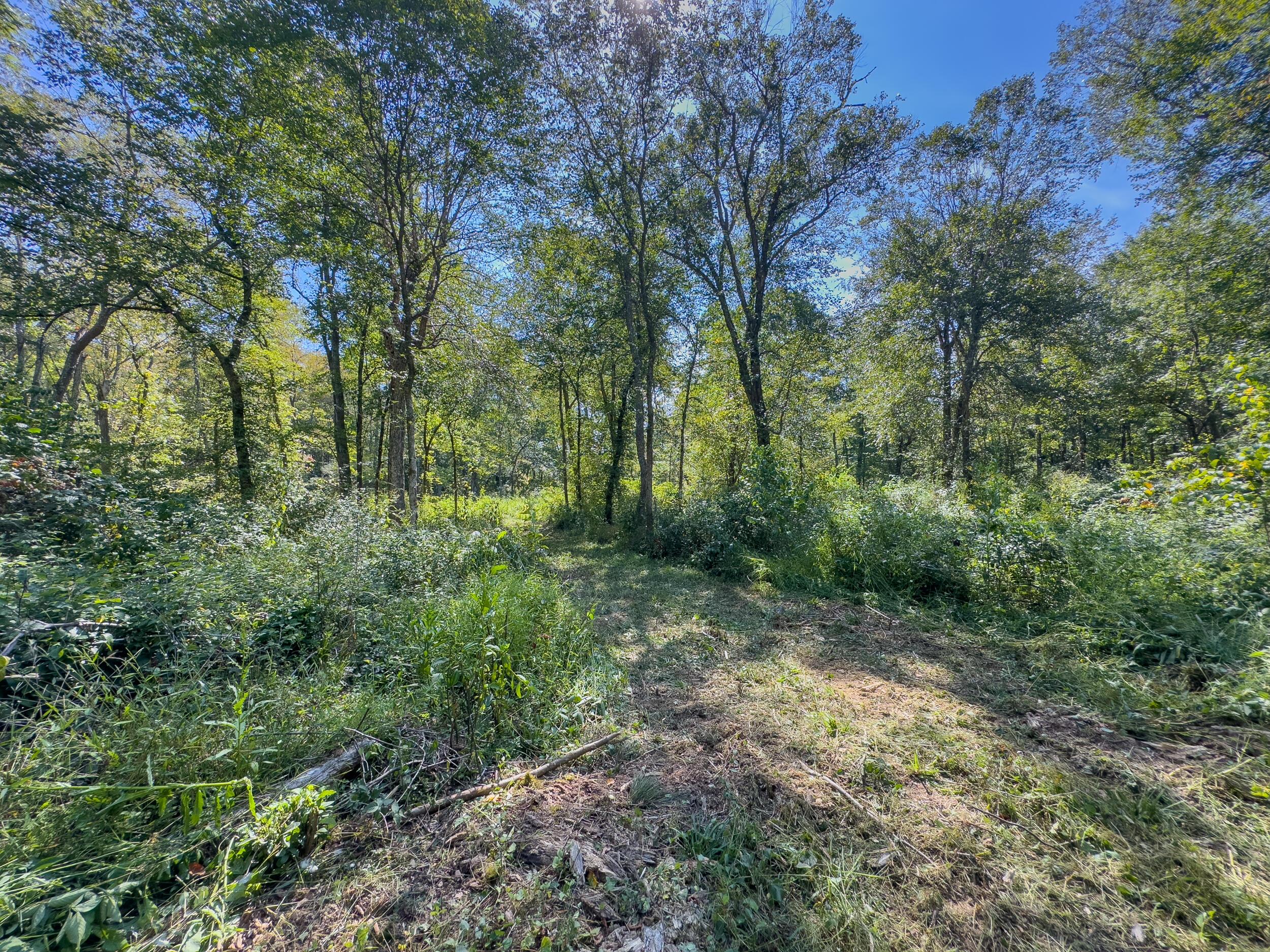 0 Fairview Road Property Photo 22