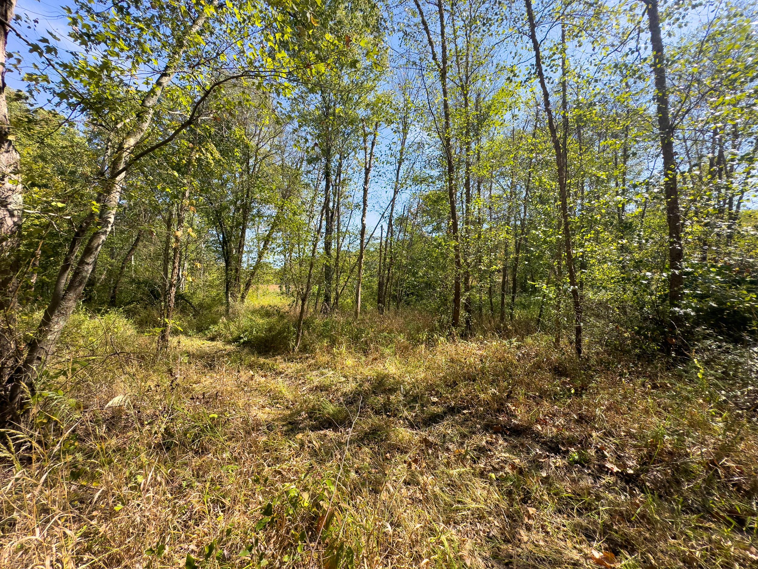 0 Fairview Road Property Photo 25