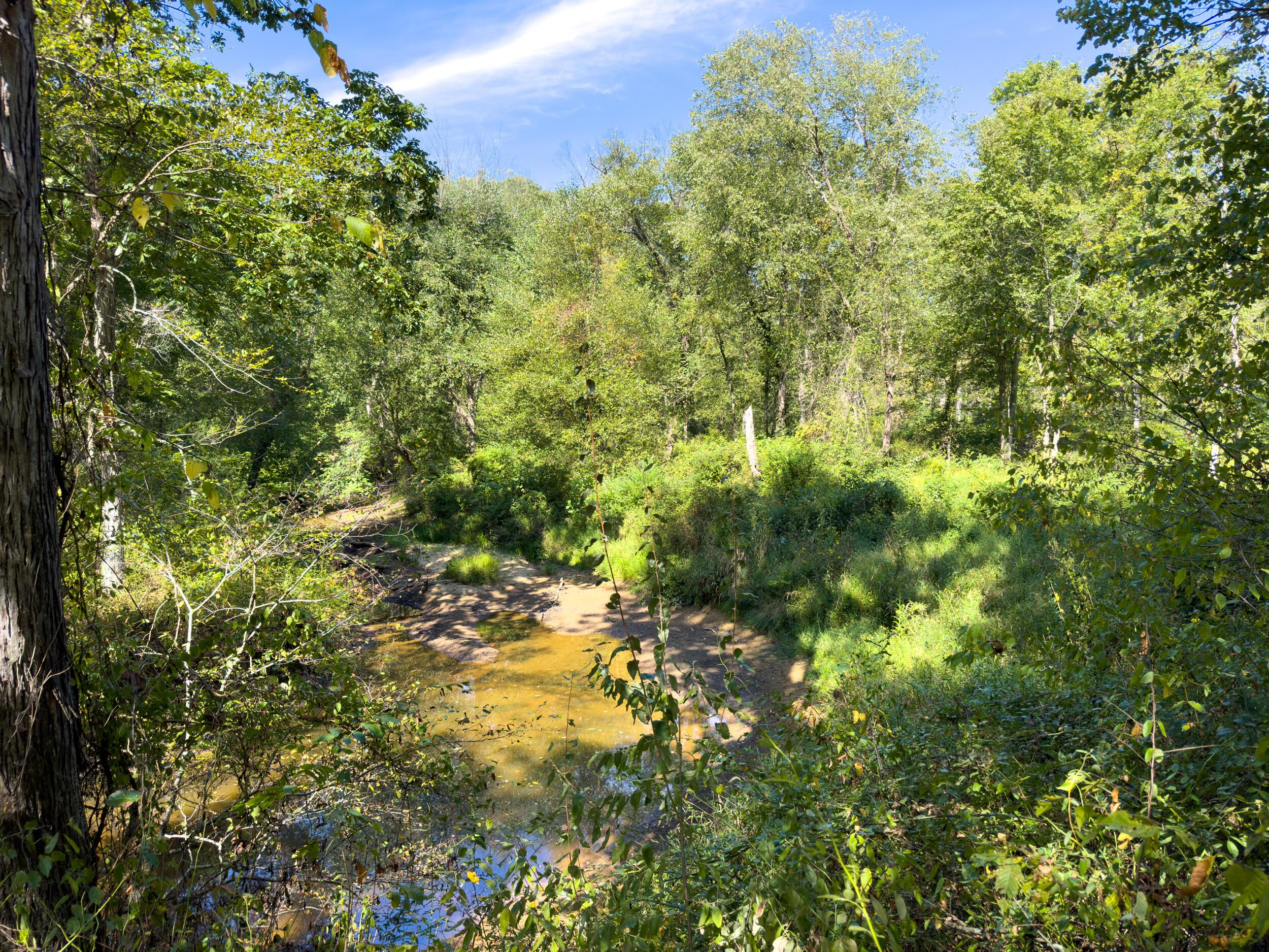 0 Fairview Road Property Photo 29
