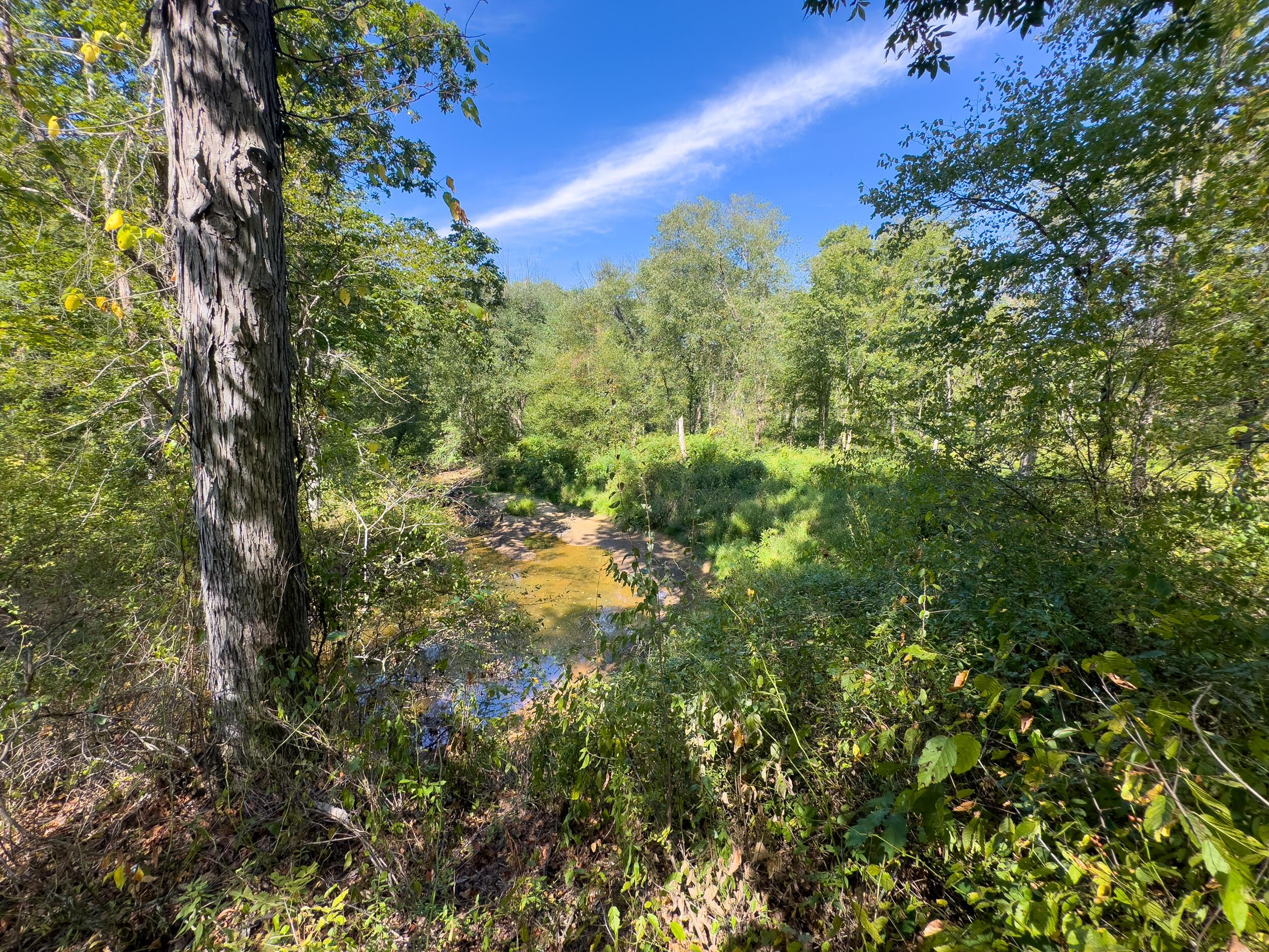 0 Fairview Road Property Photo 30
