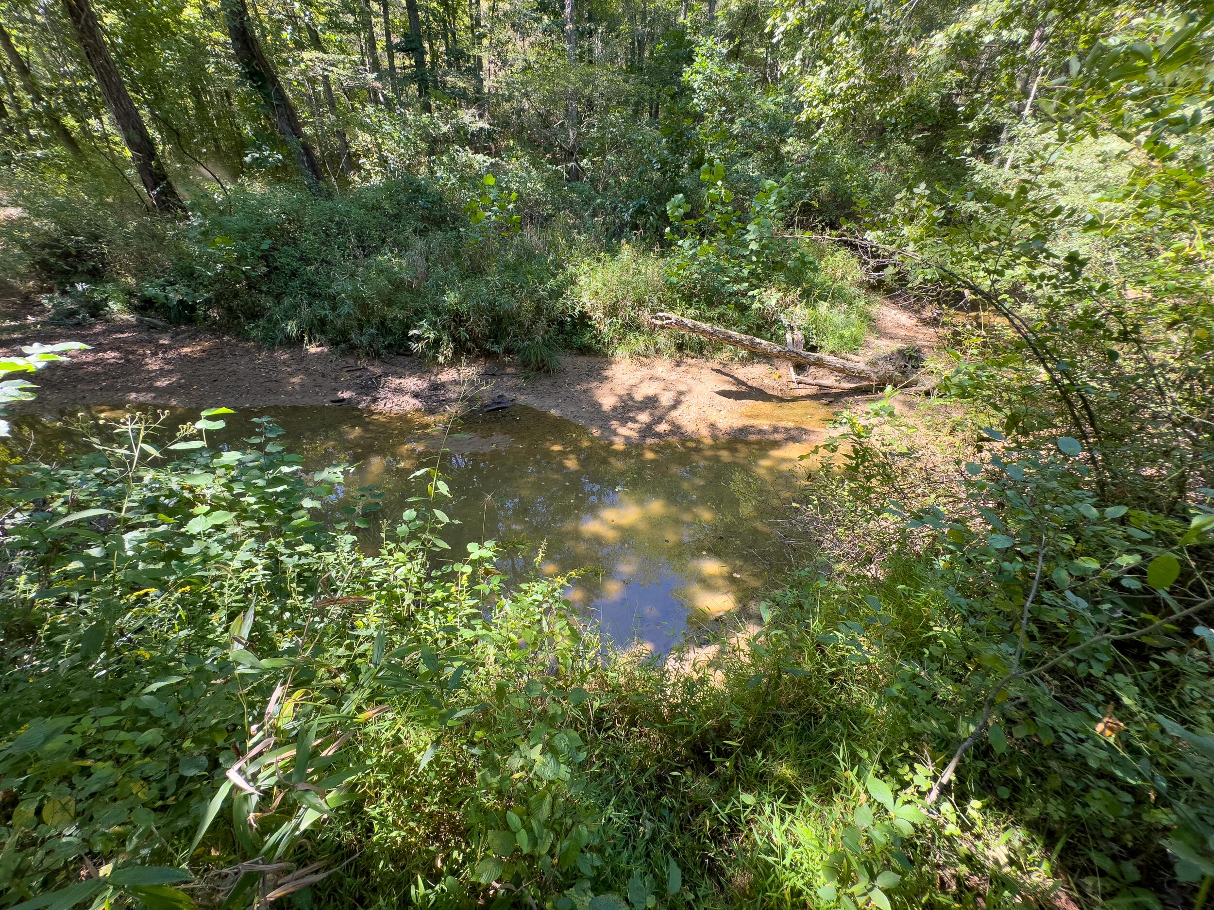 0 Fairview Road Property Photo 32