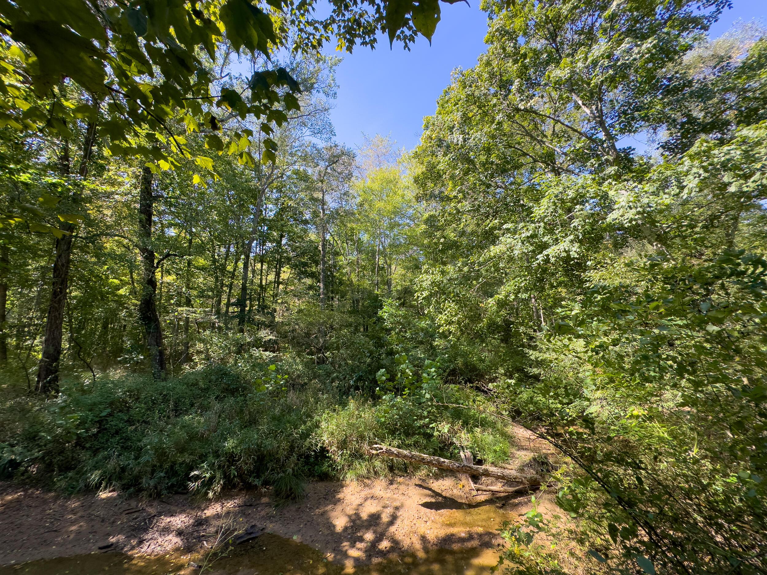 0 Fairview Road Property Photo 33