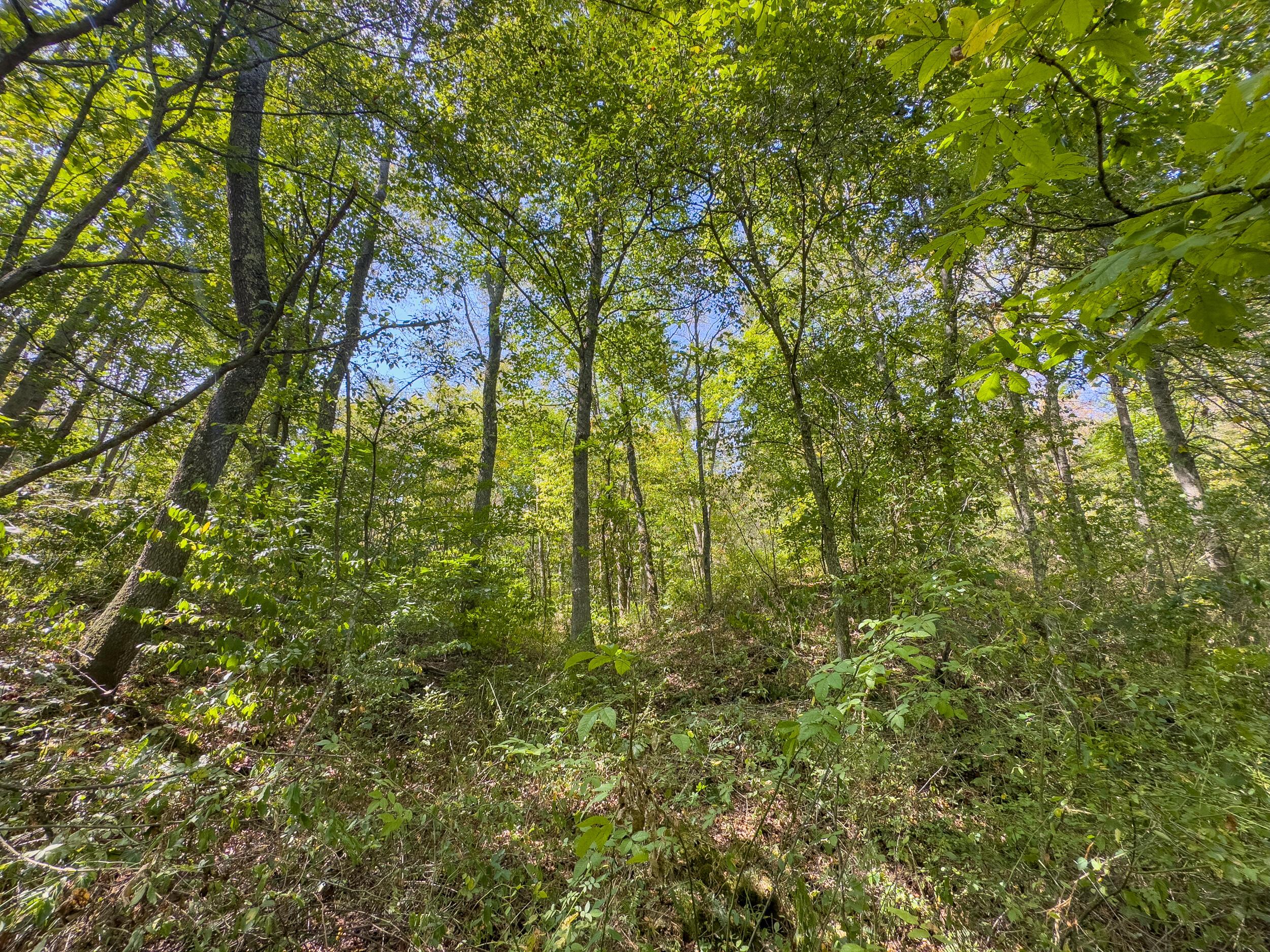 0 Fairview Road Property Photo 36