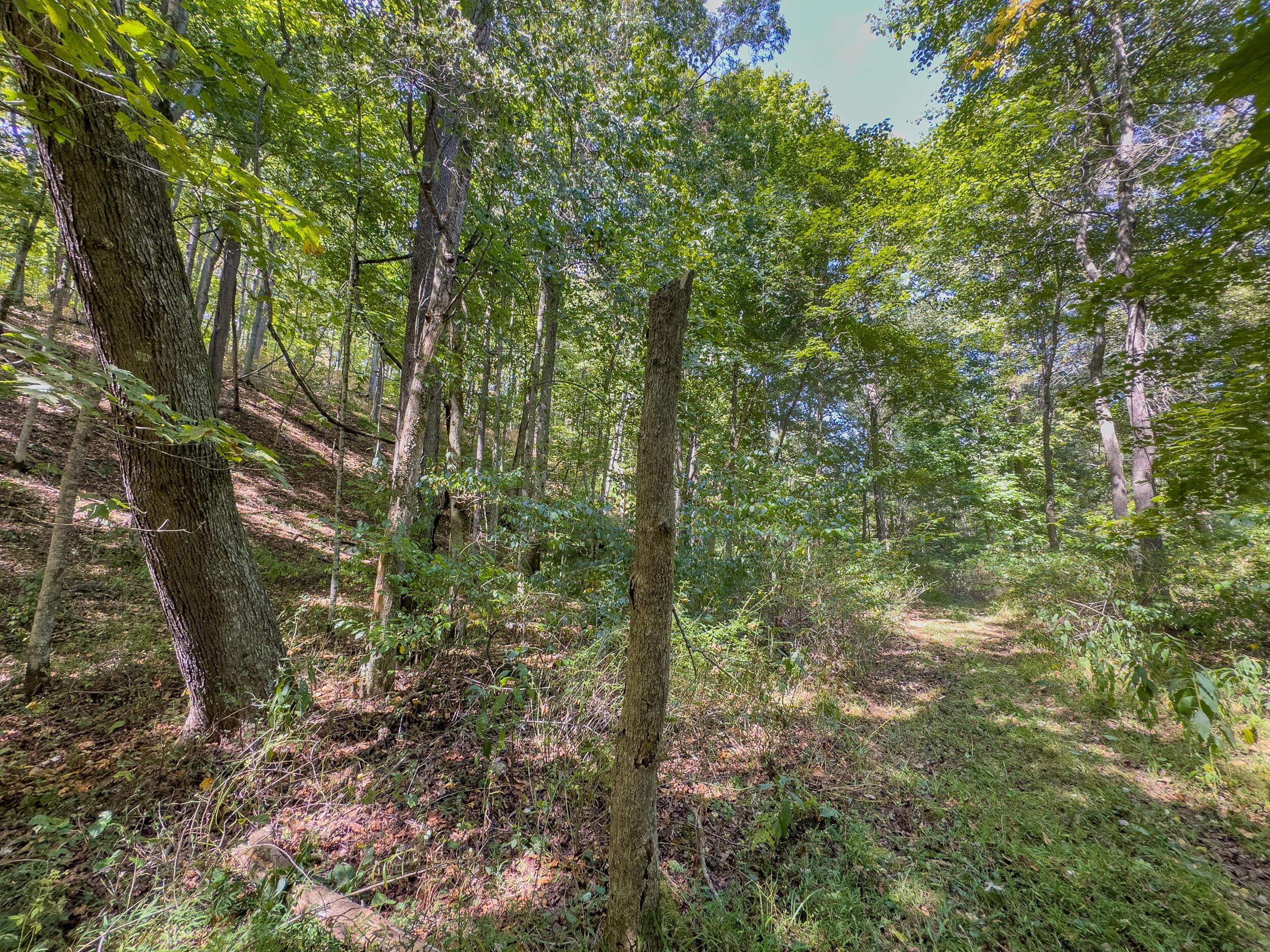 0 Fairview Road Property Photo 38