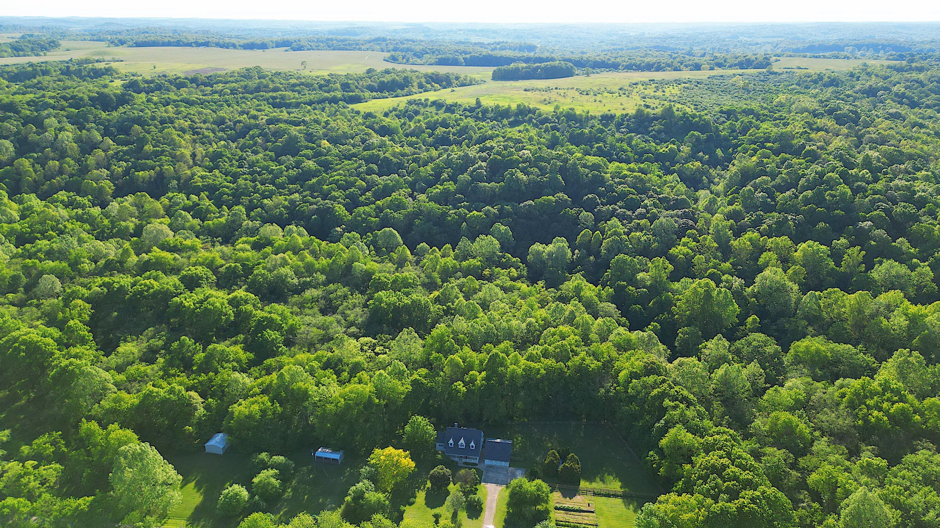 67230 Creek Road Property Photo 48