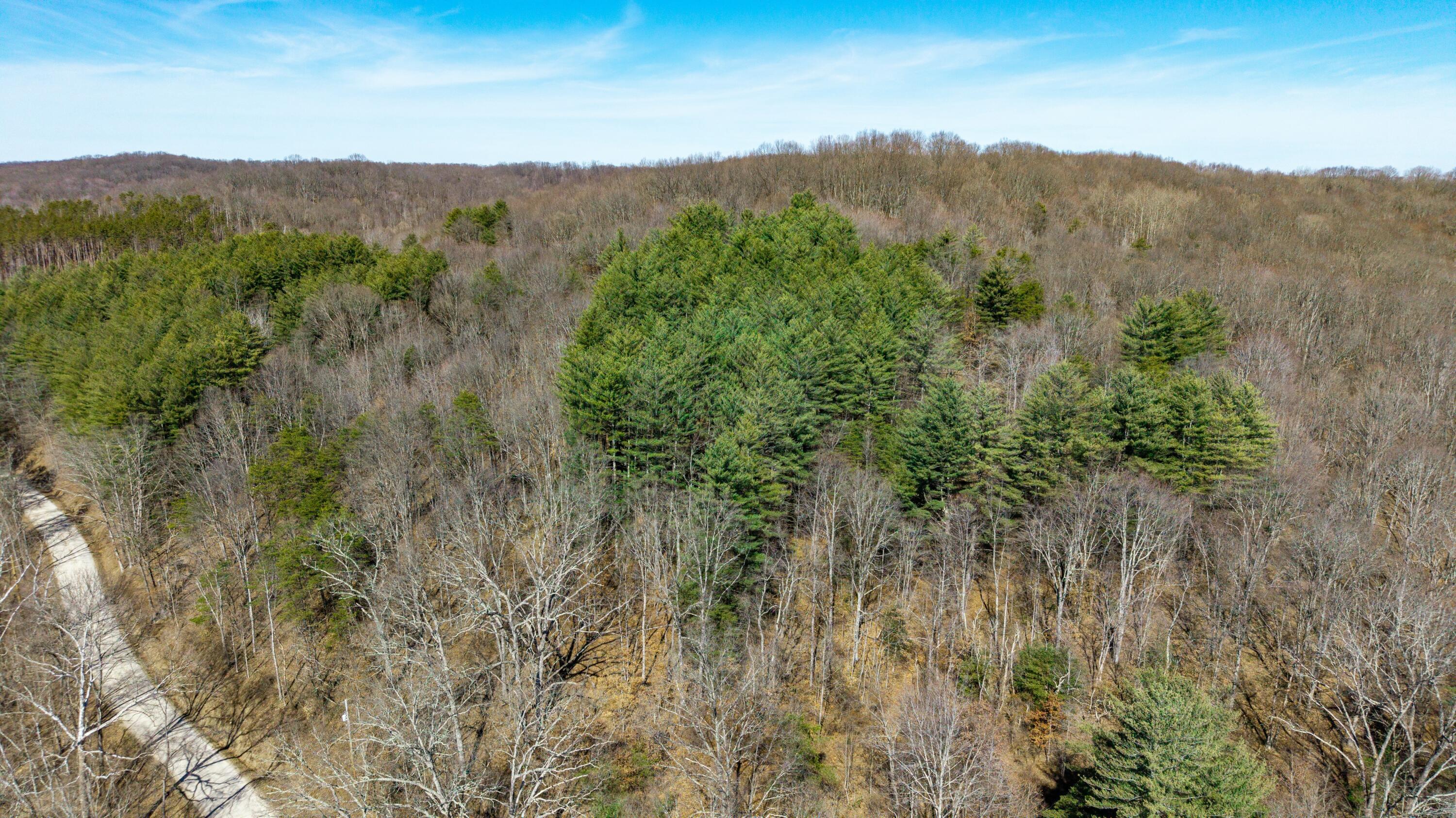 26145 Creola-hue Rd Road Property Photo
