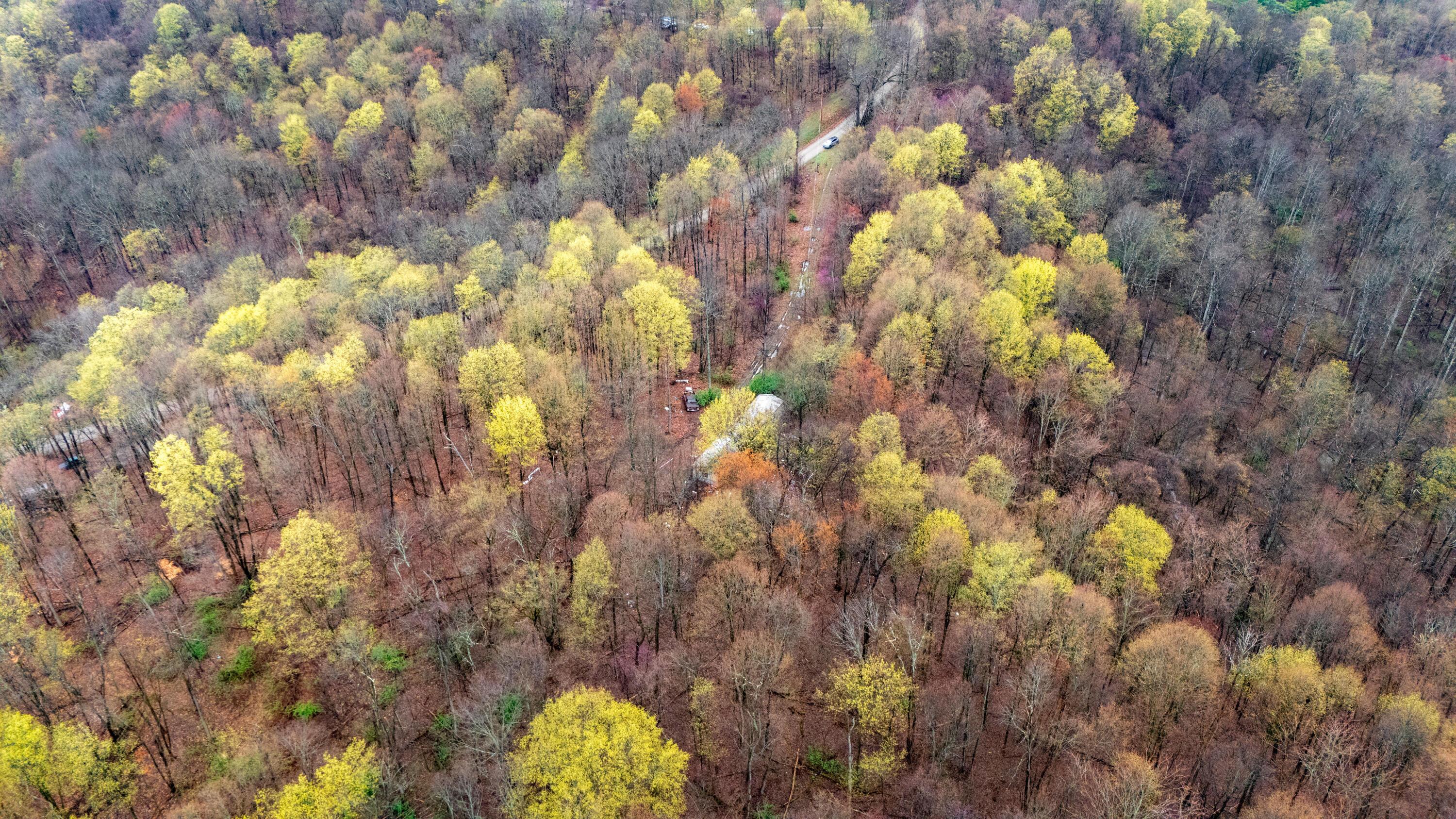 1630 N Pascal Road Property Photo 3