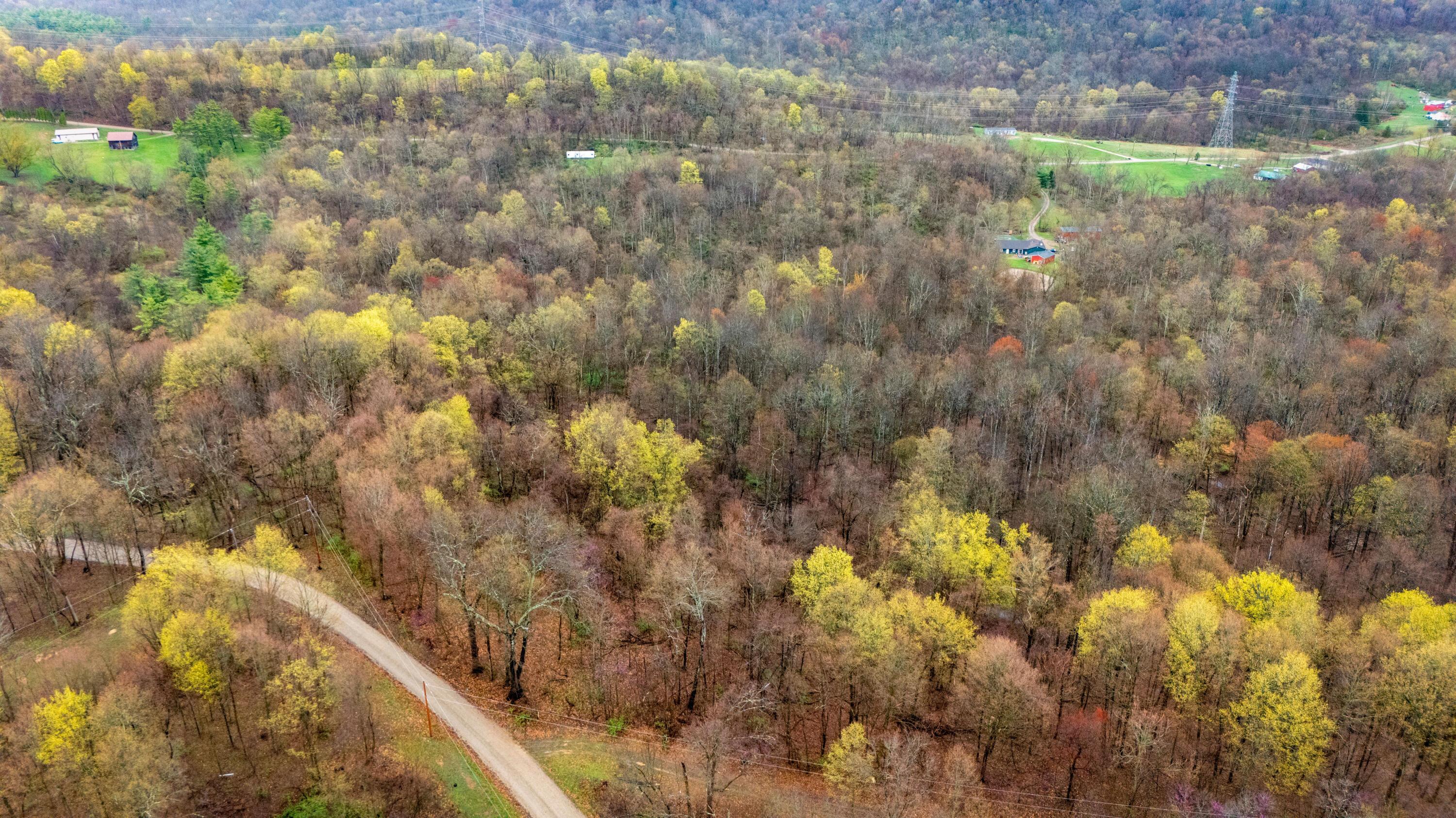 1630 N Pascal Road Property Photo 4