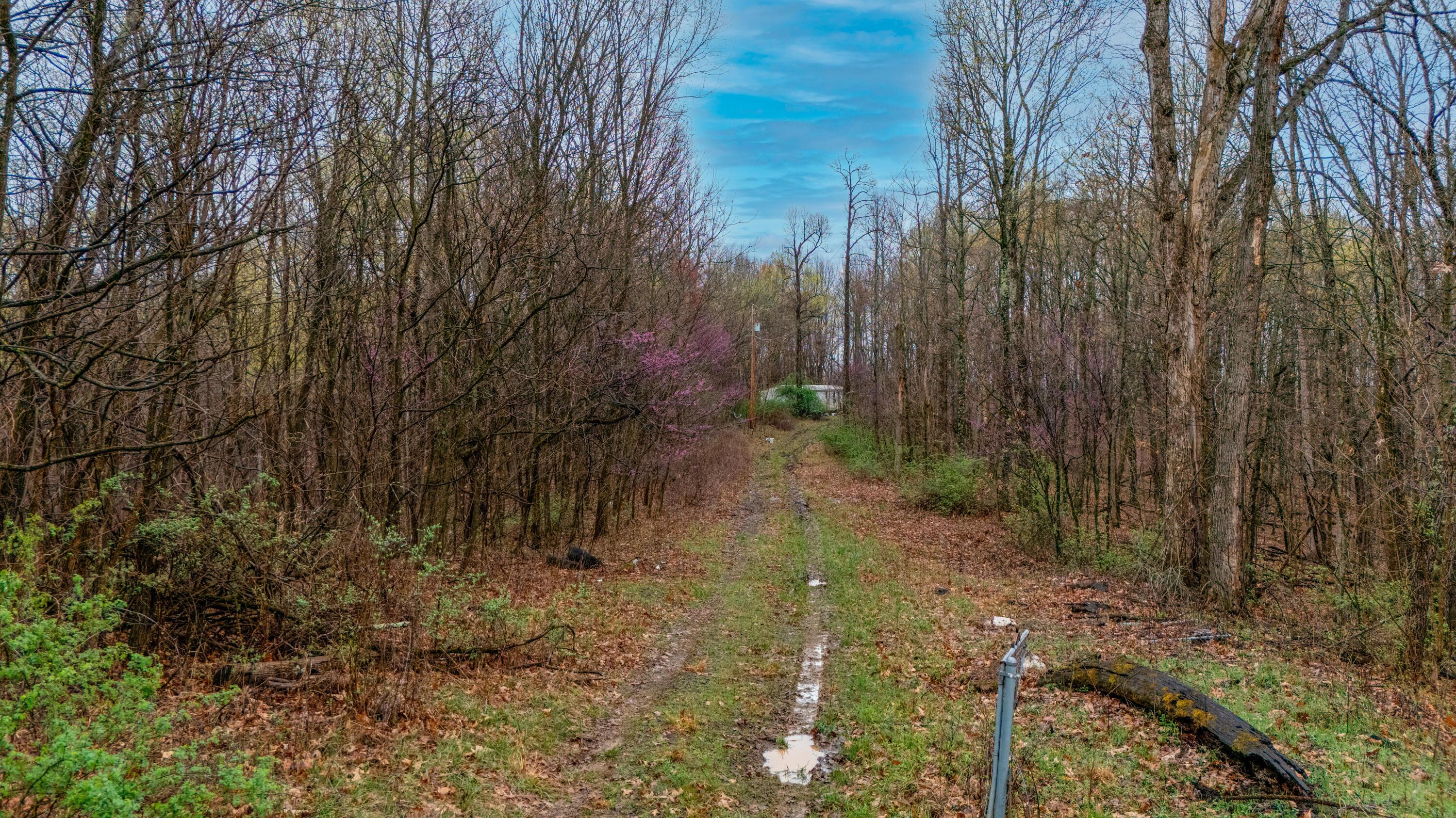 1630 N Pascal Road Property Photo 7