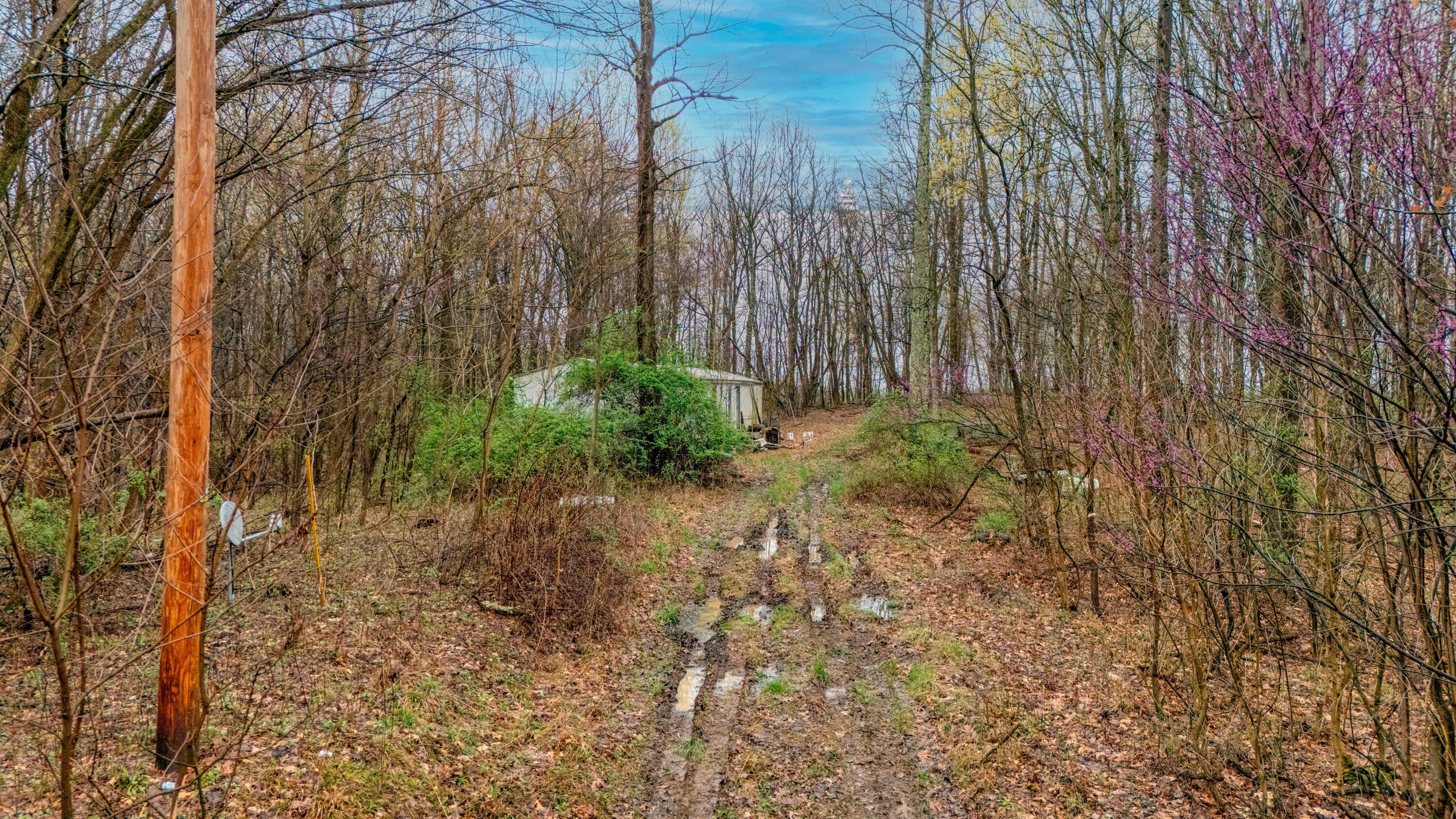 1630 N Pascal Road Property Photo 8