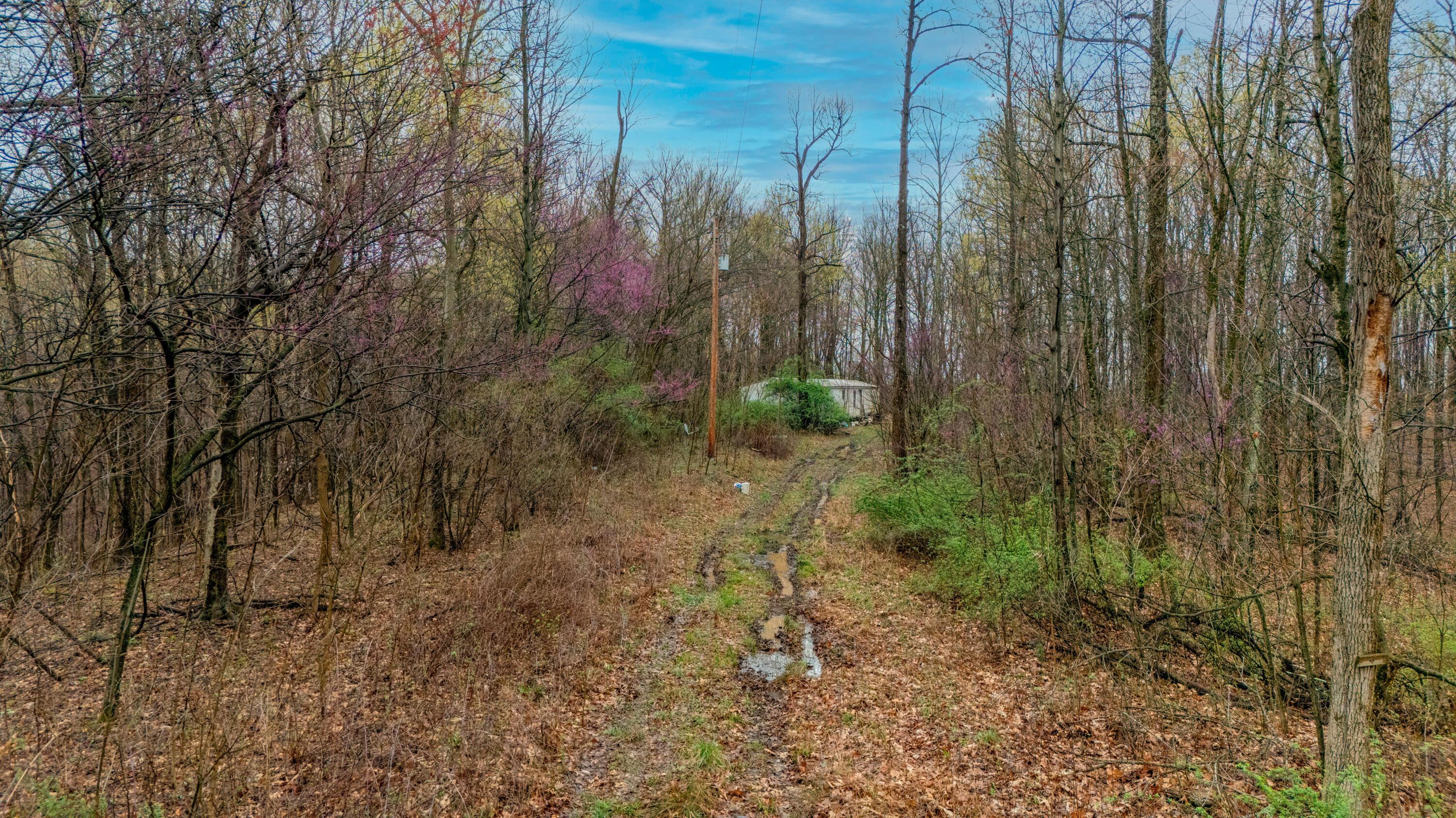 1630 N Pascal Road Property Photo 19