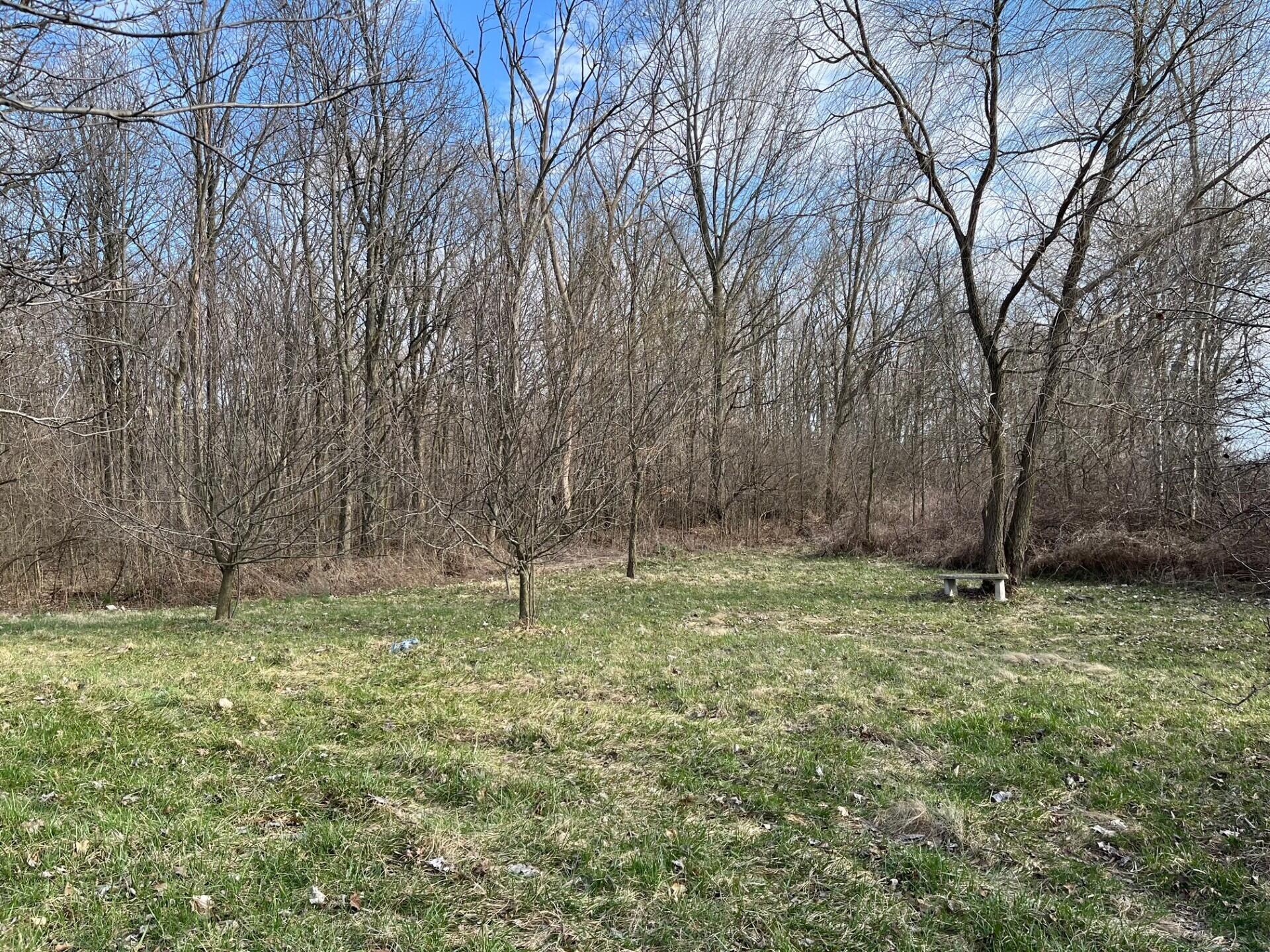 3710 County Road 40 Property Photo 10