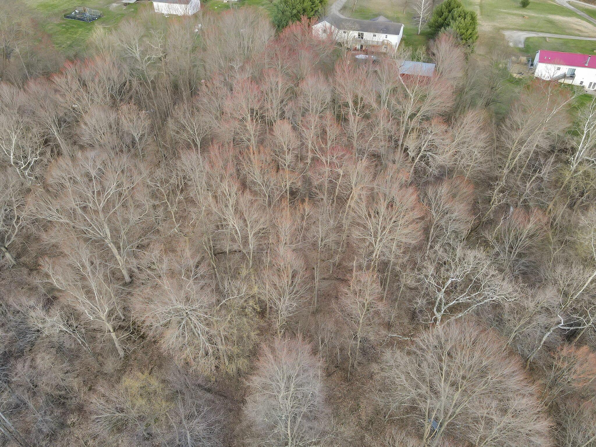 2655 Township Road 123 Ne Property Photo 58