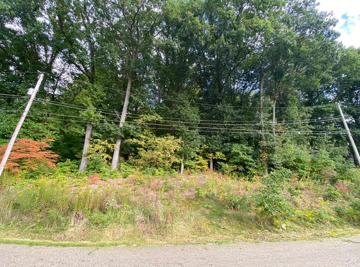 0 Lynnwood Drive Property Photo