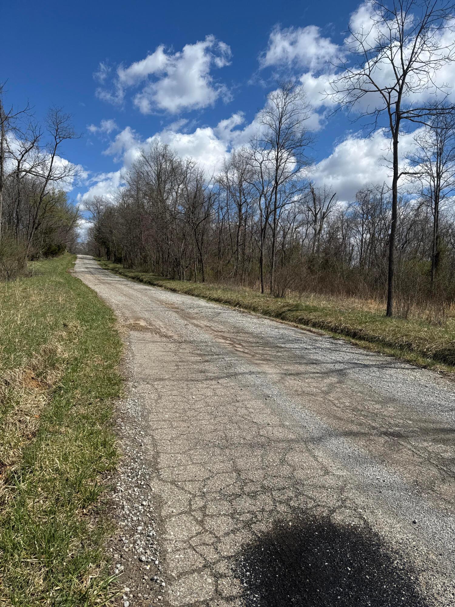 0 Left Fork Road Property Photo 2