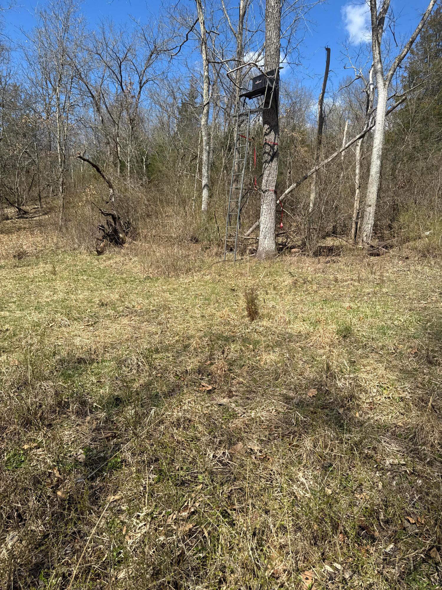 0 Left Fork Road Property Photo 8
